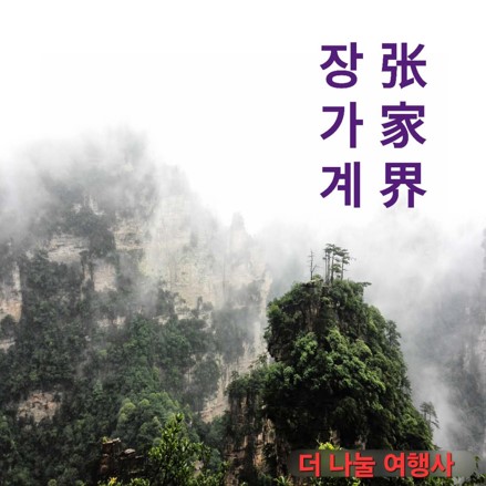 더나눌여행사