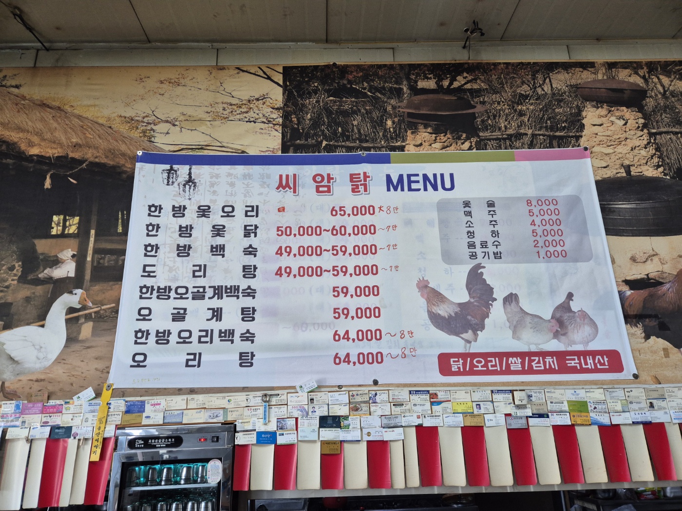 씨암탉