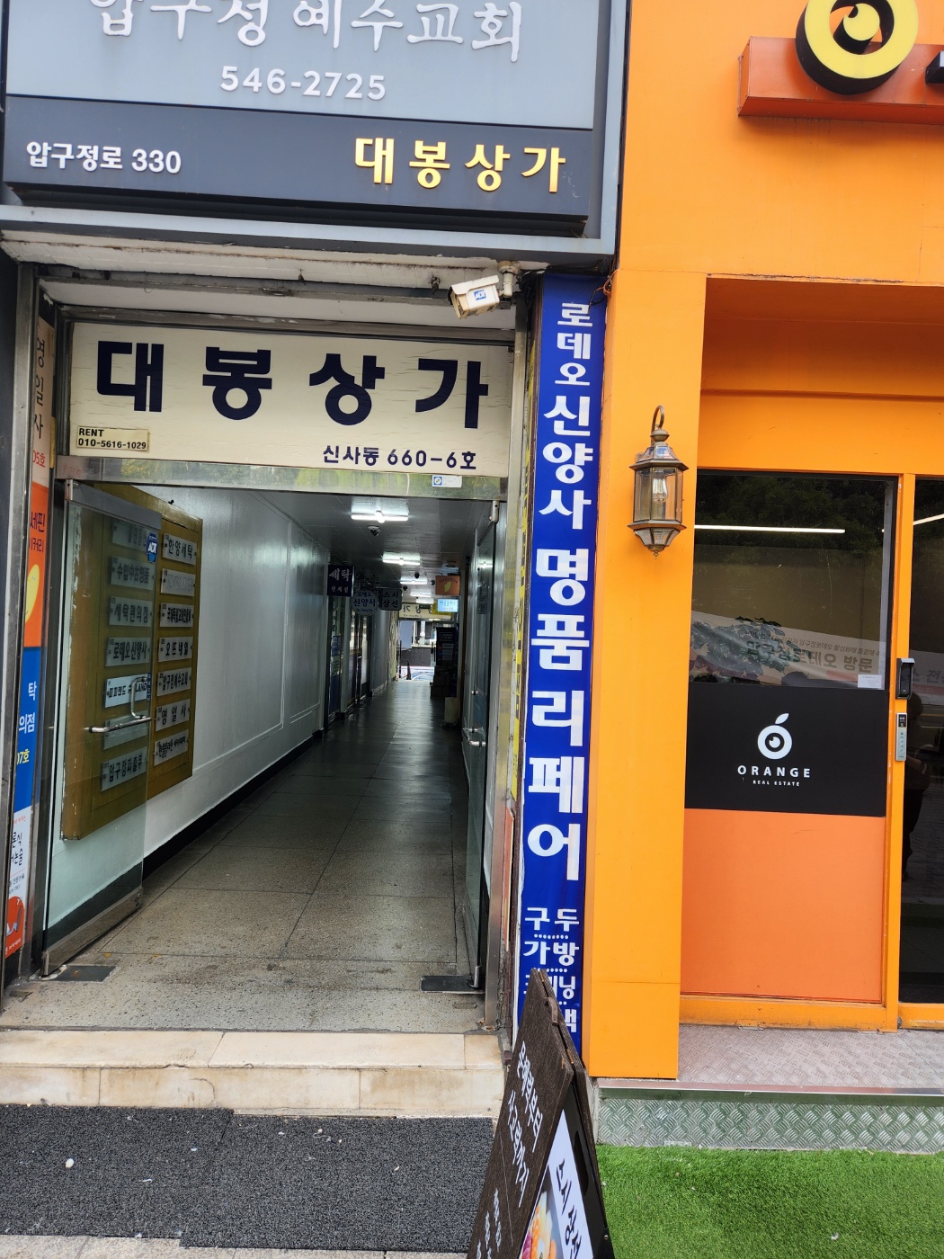 로데오신양사