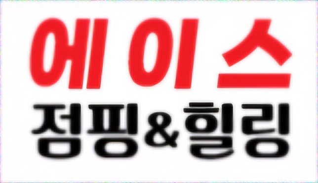 에이스점핑앤힐링 대표 이미지