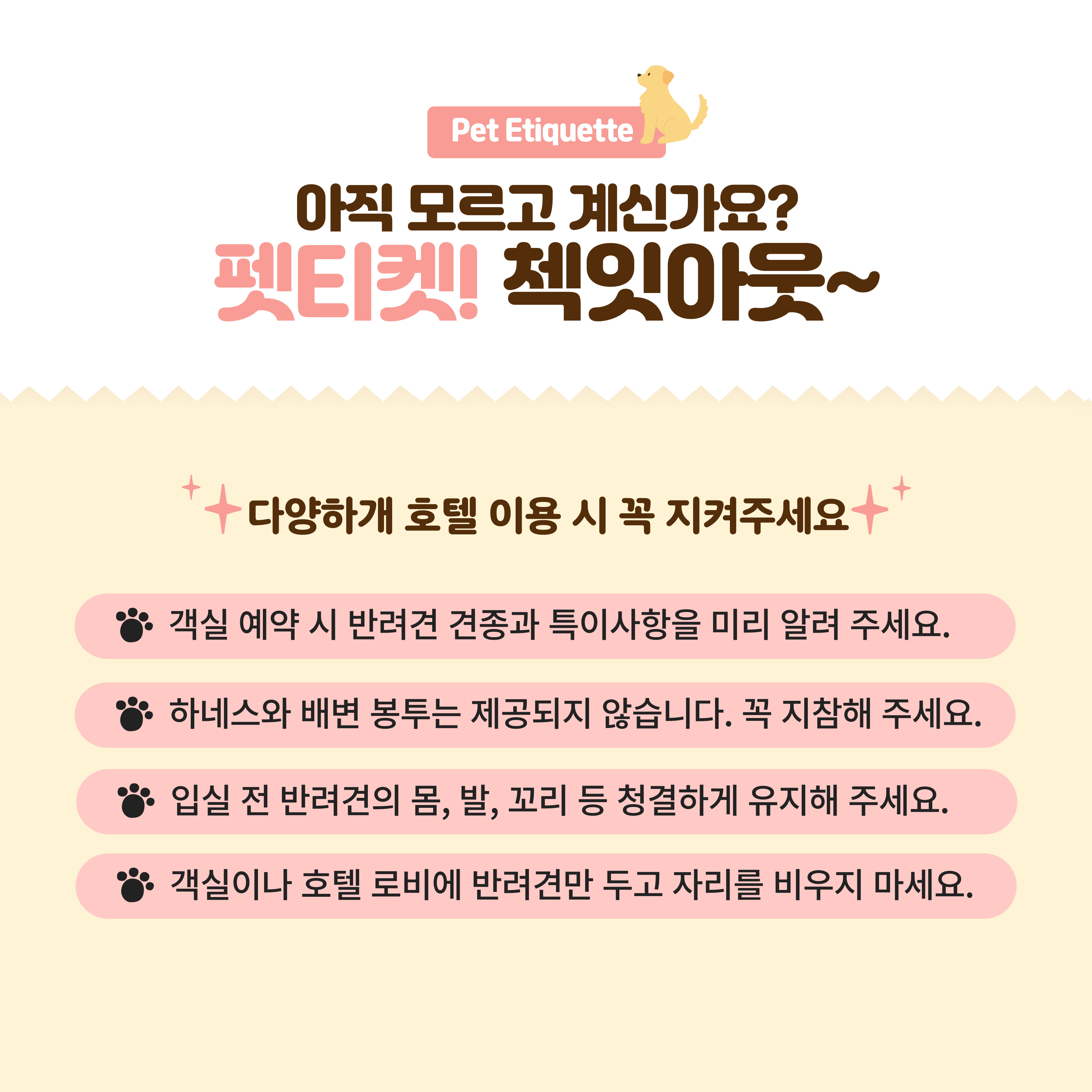 사진 3