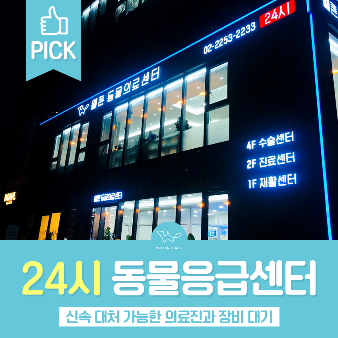 웰튼동물의료센터