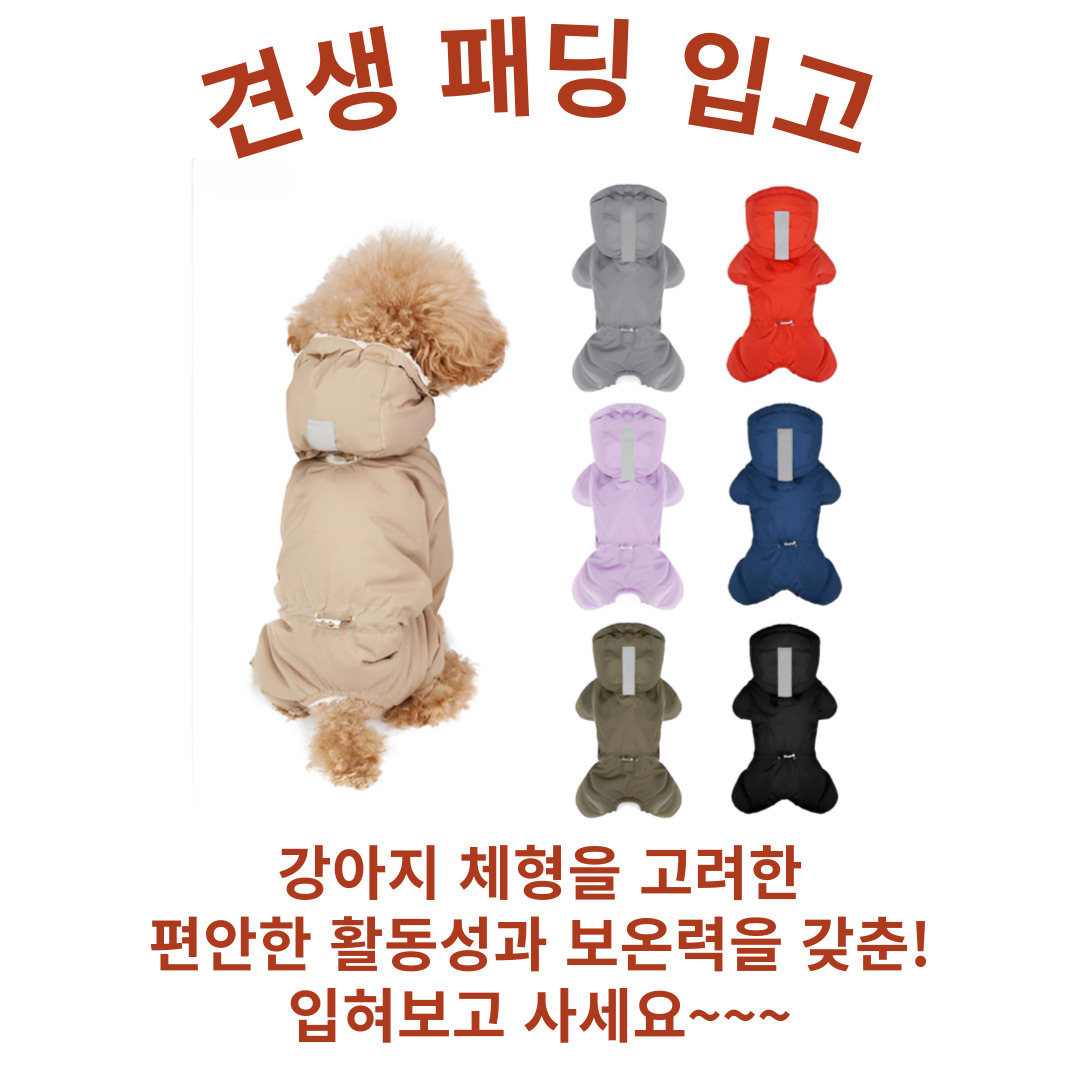 도그슈퍼마캣