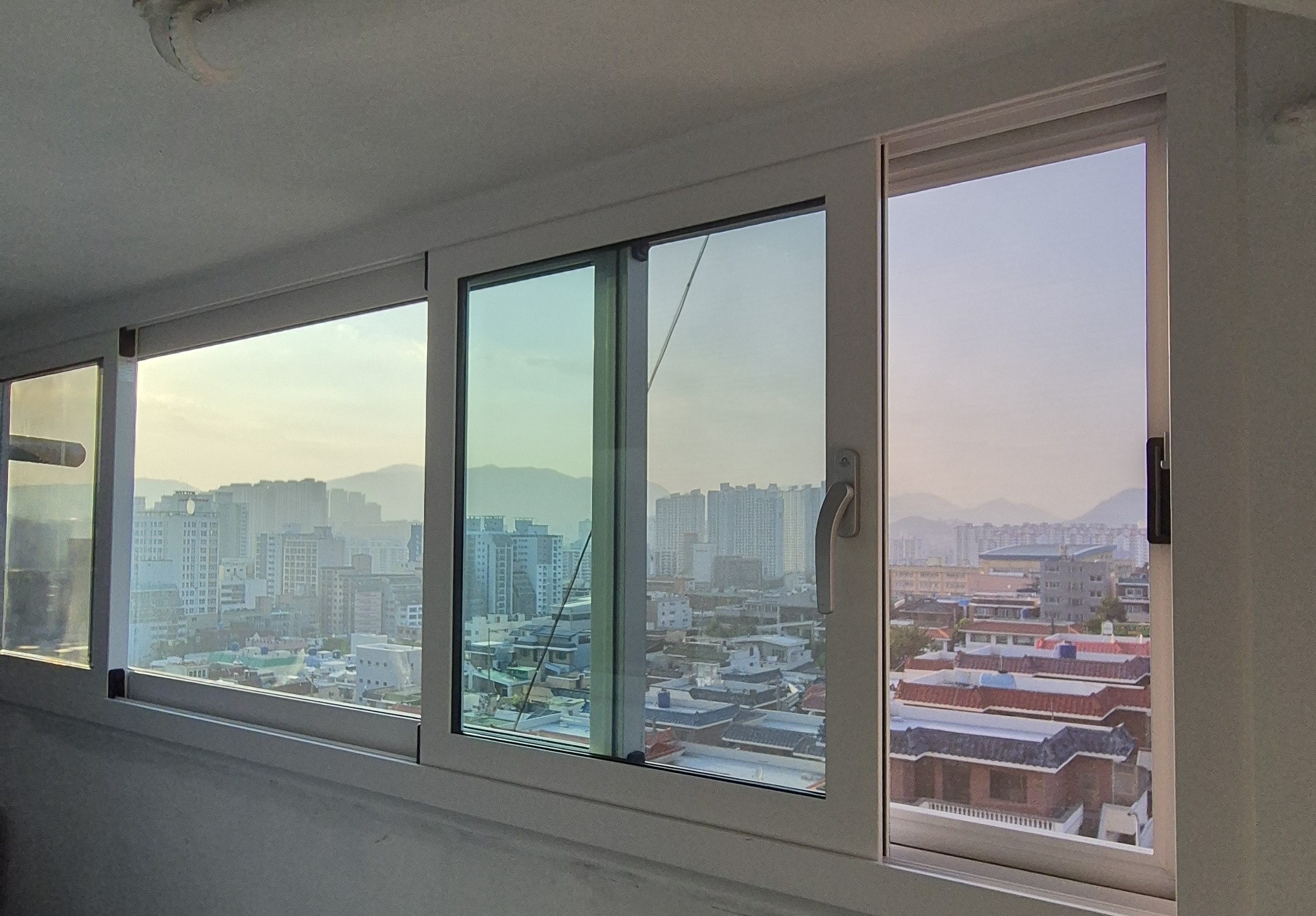 거동