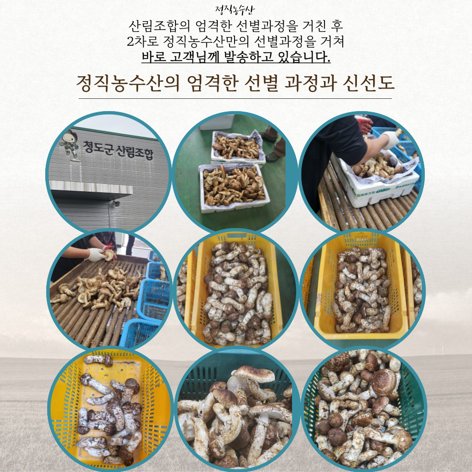 정직농수산