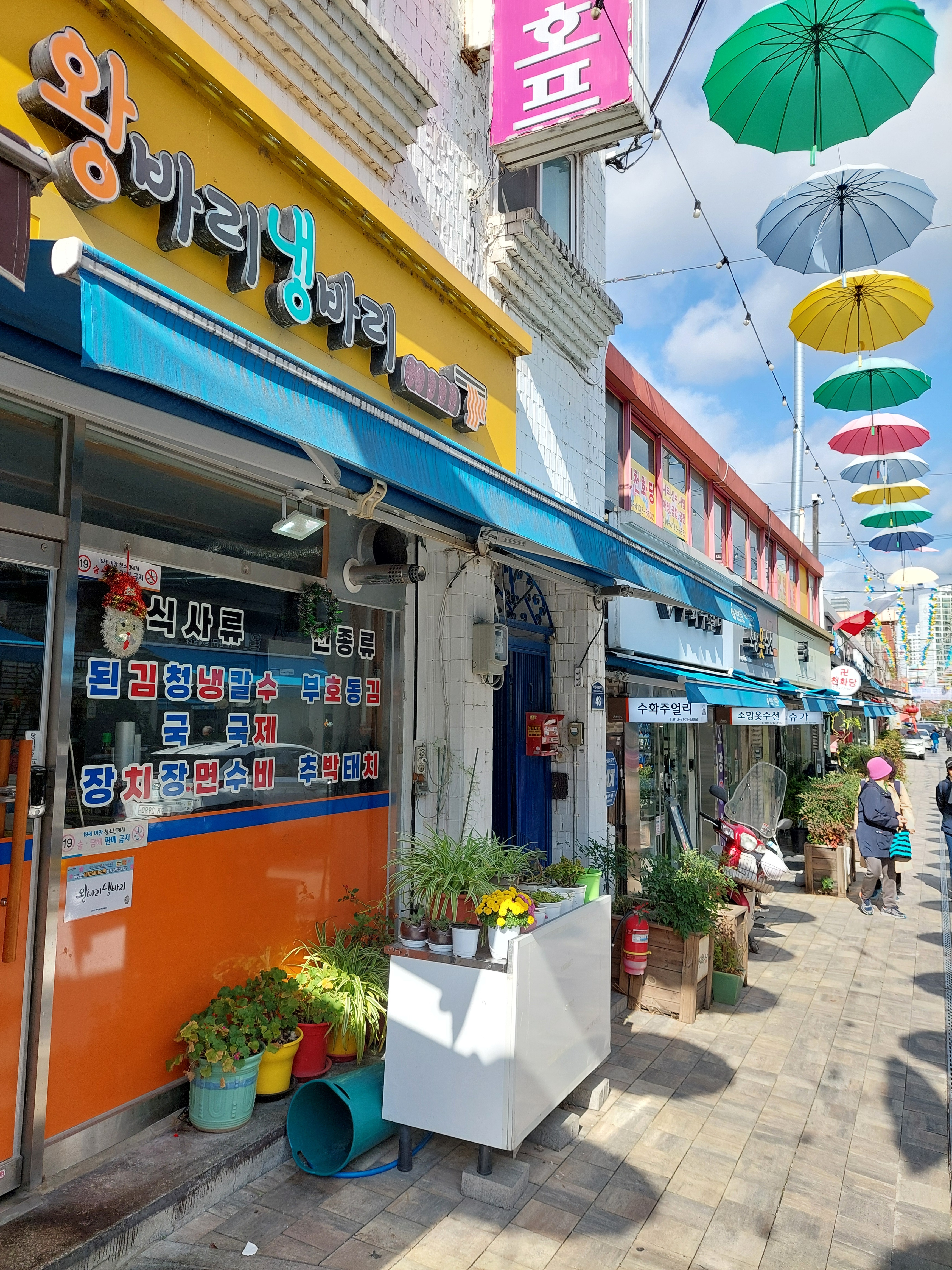 왕바리냉바리