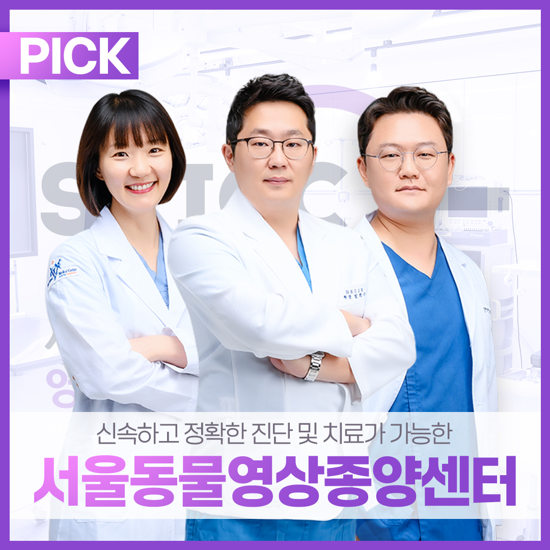 서울동물영상종양센터