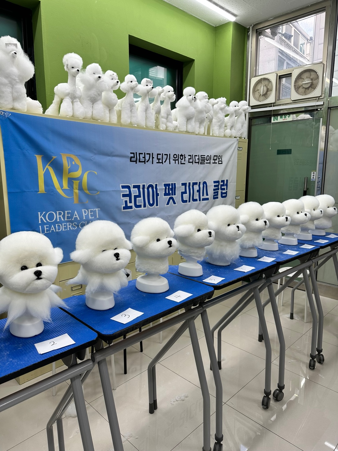 김포애견미용학원