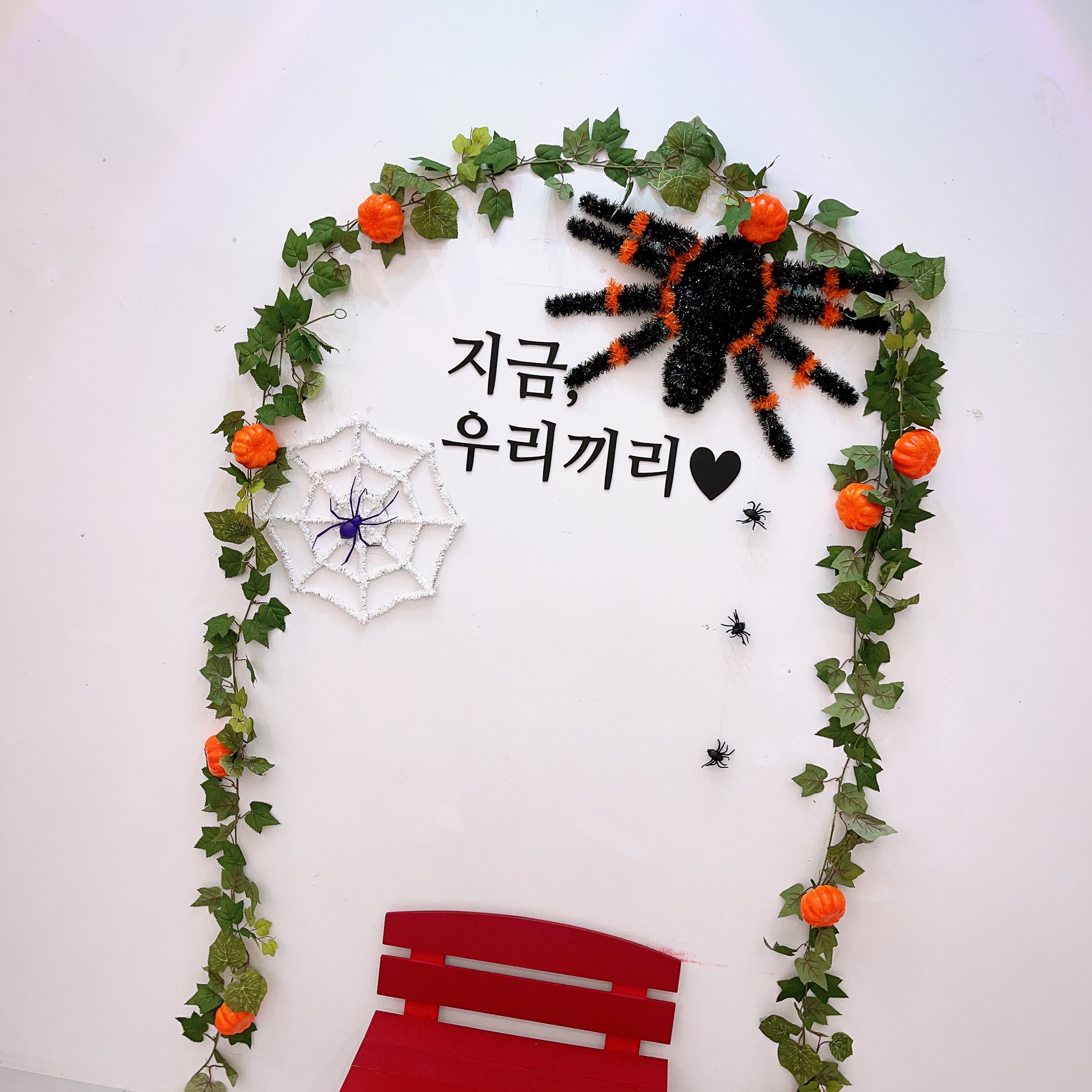 우리끼리 키즈카페 아쿠아마을 전북정읍점