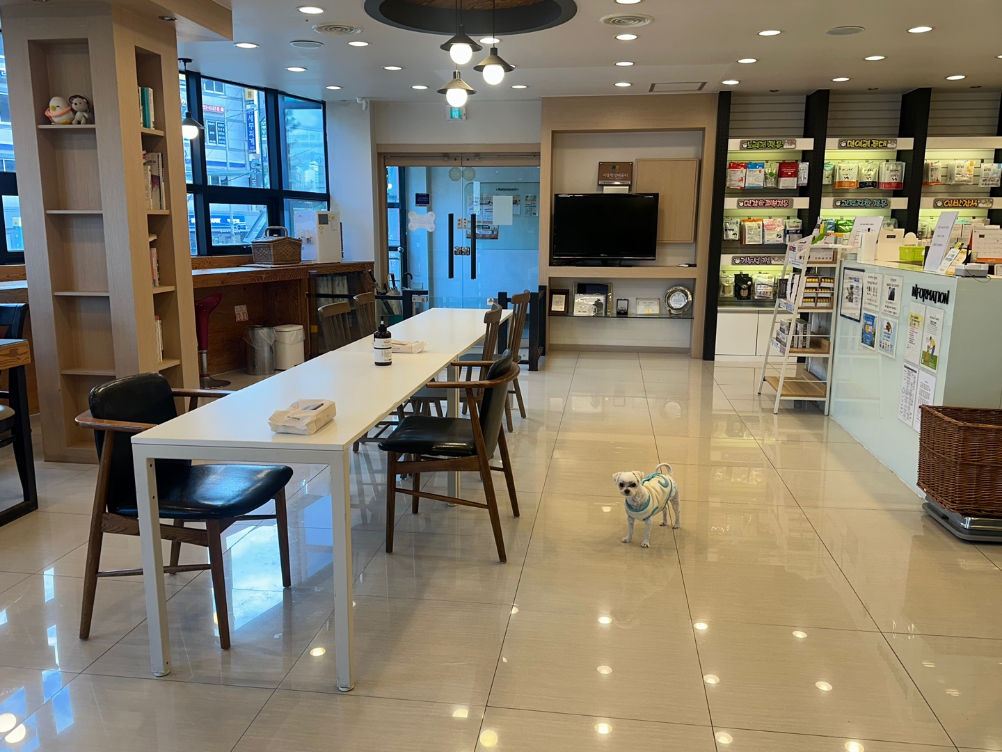 미래지동물의료센터 대표 이미지