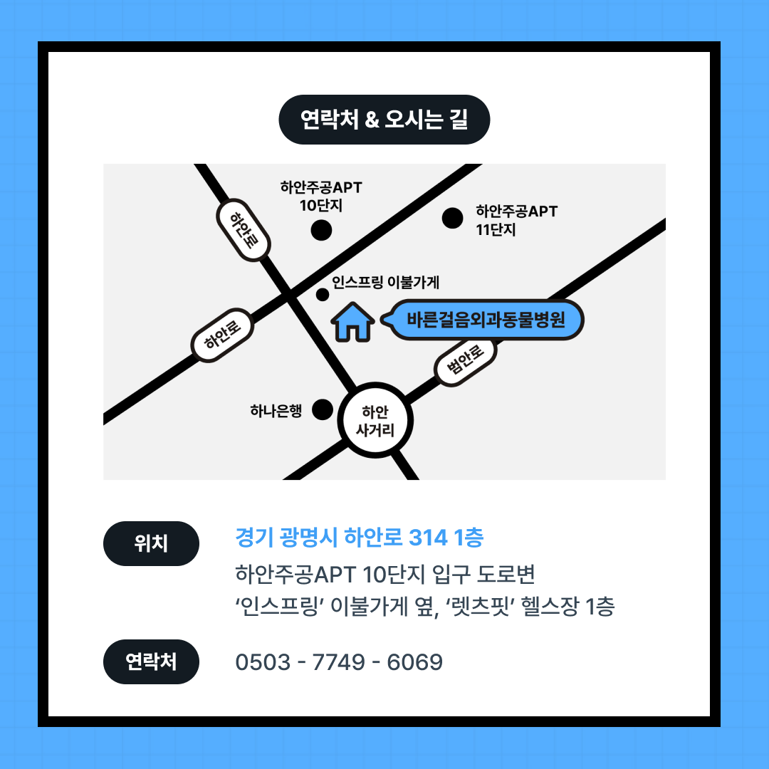 바른걸음외과동물병원 대표 이미지