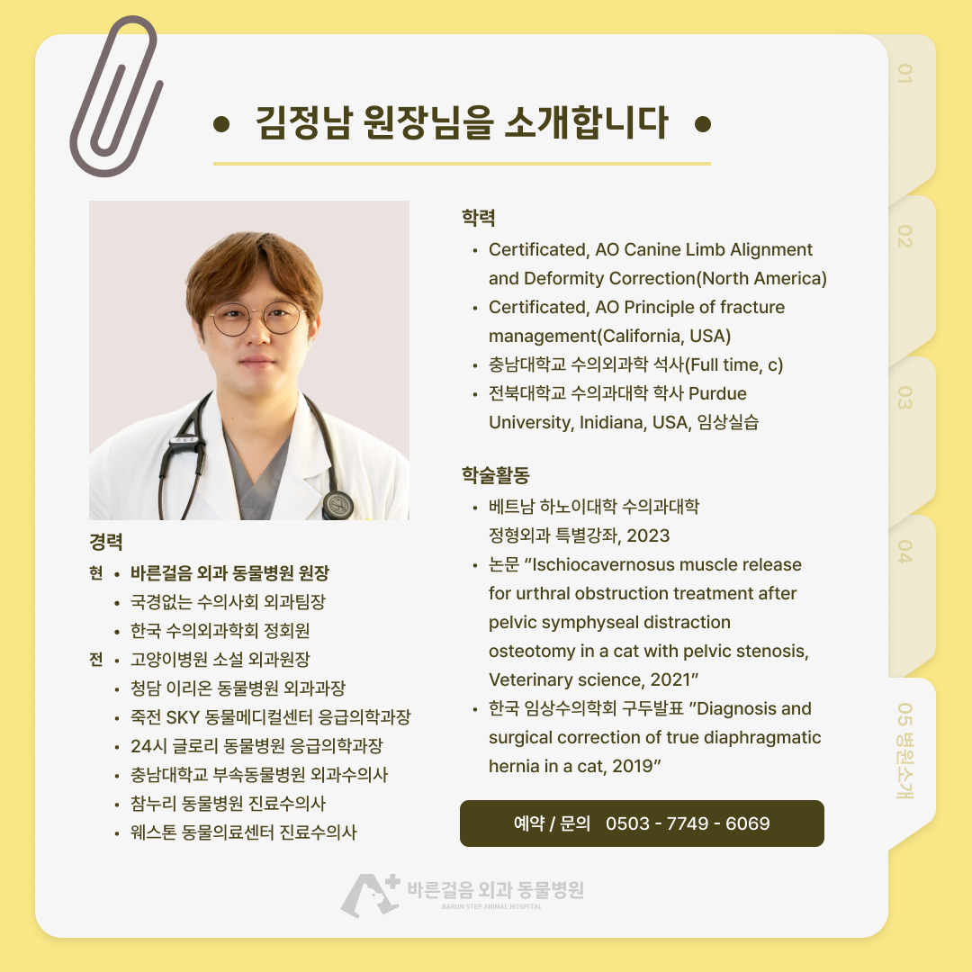 바른걸음외과동물병원 대표 이미지