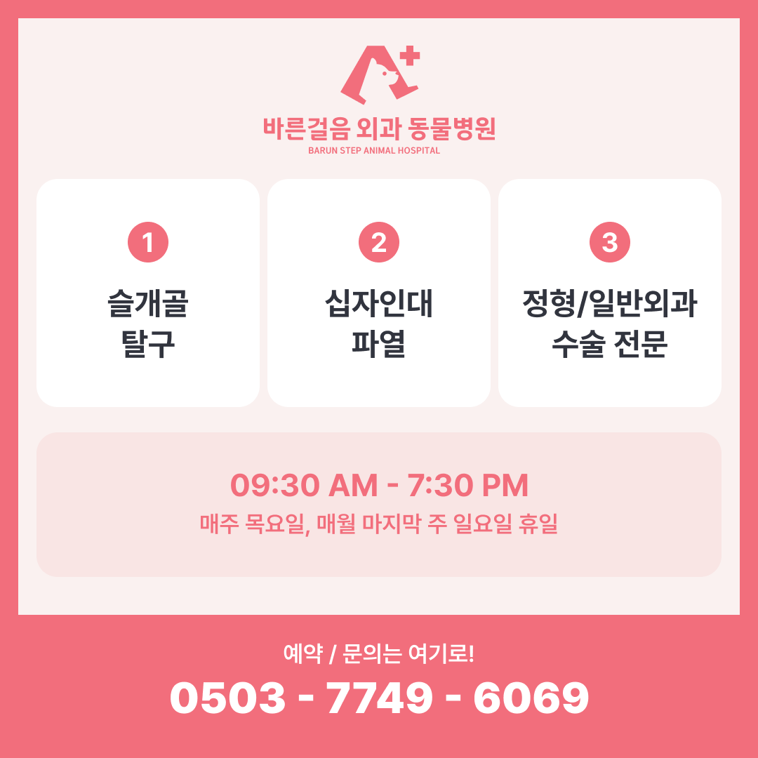 바른걸음외과동물병원
