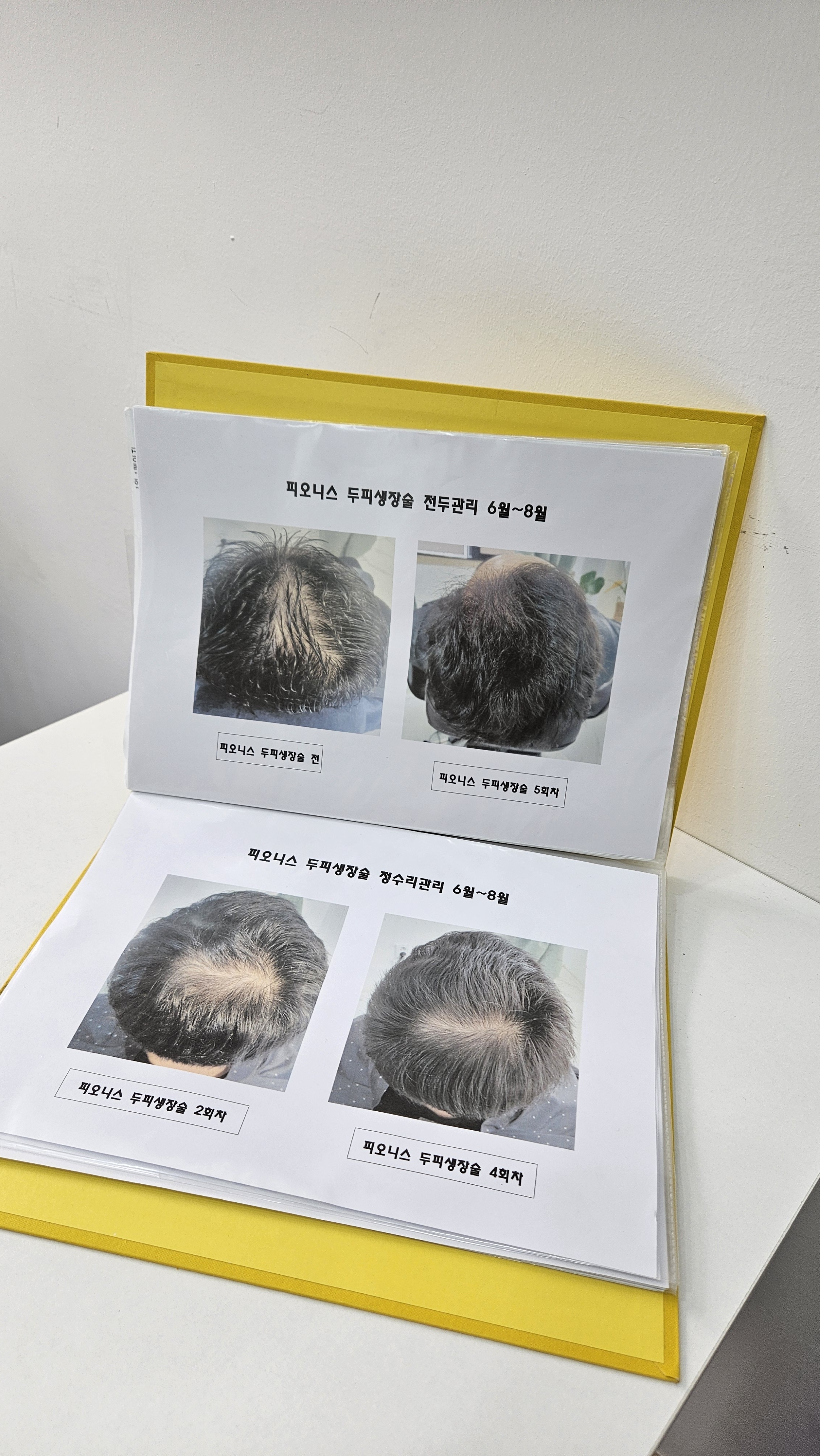 한올 대표 이미지