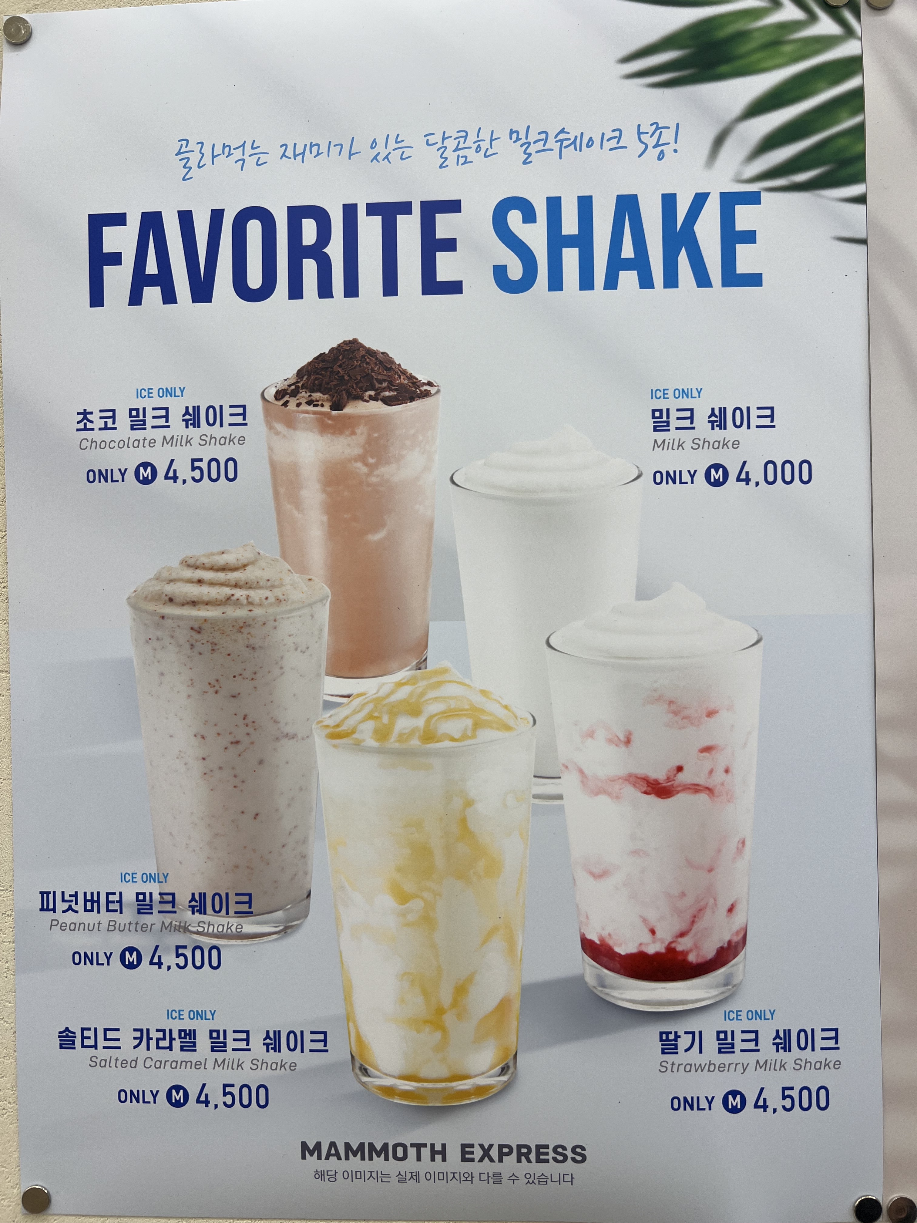 매머드익스프레스 안양관양시장점