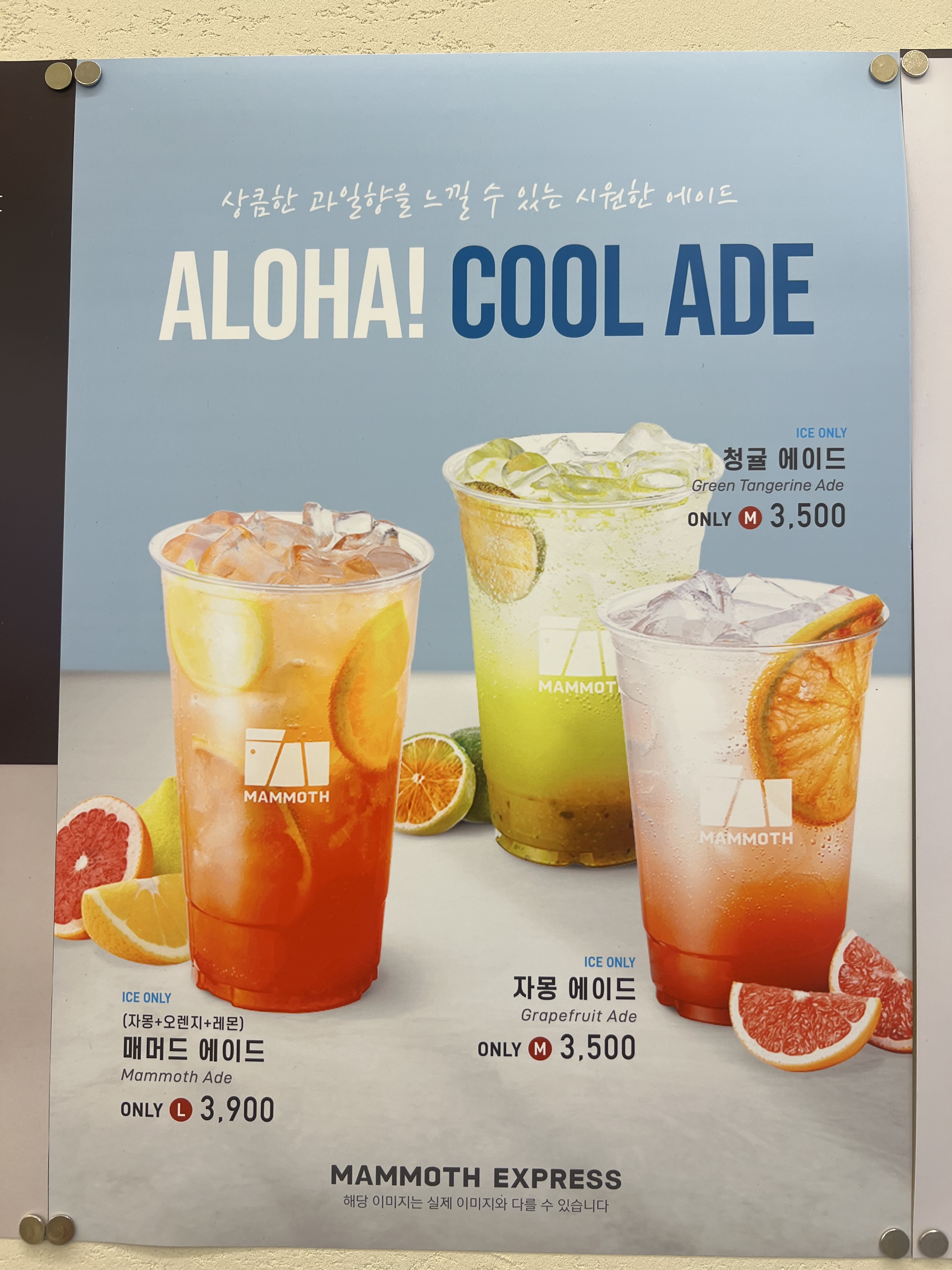 매머드익스프레스 안양관양시장점