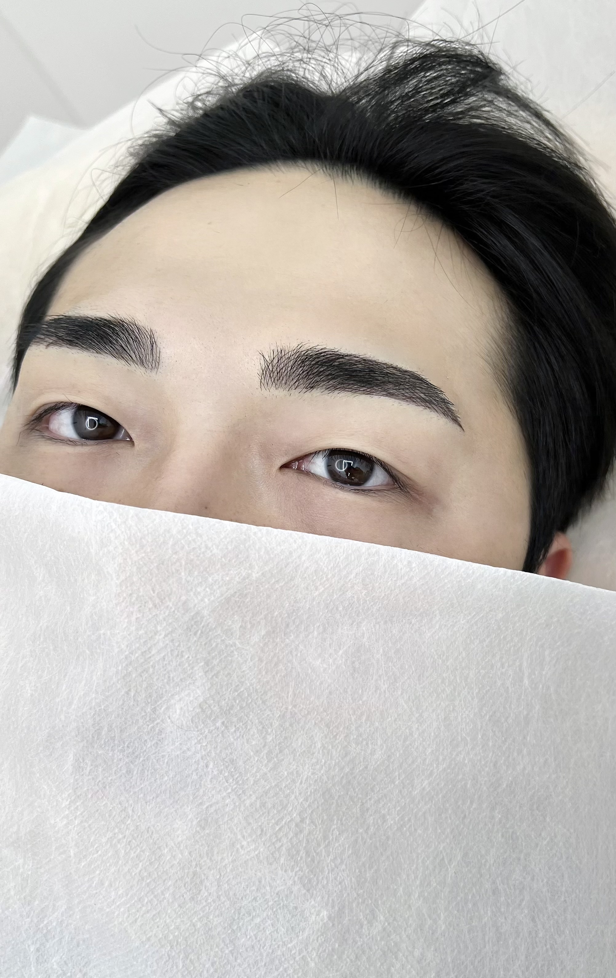 브릿지브로우