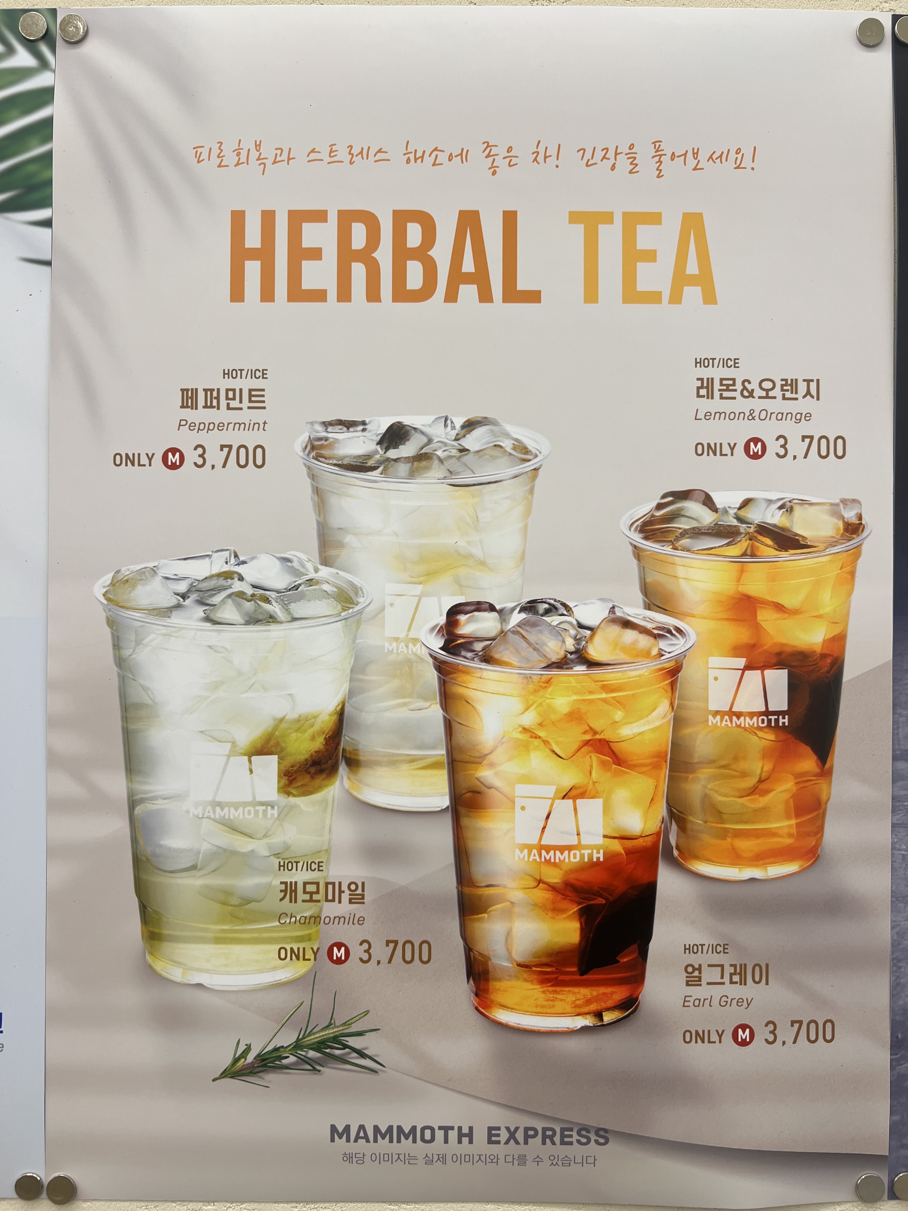 매머드익스프레스 안양관양시장점
