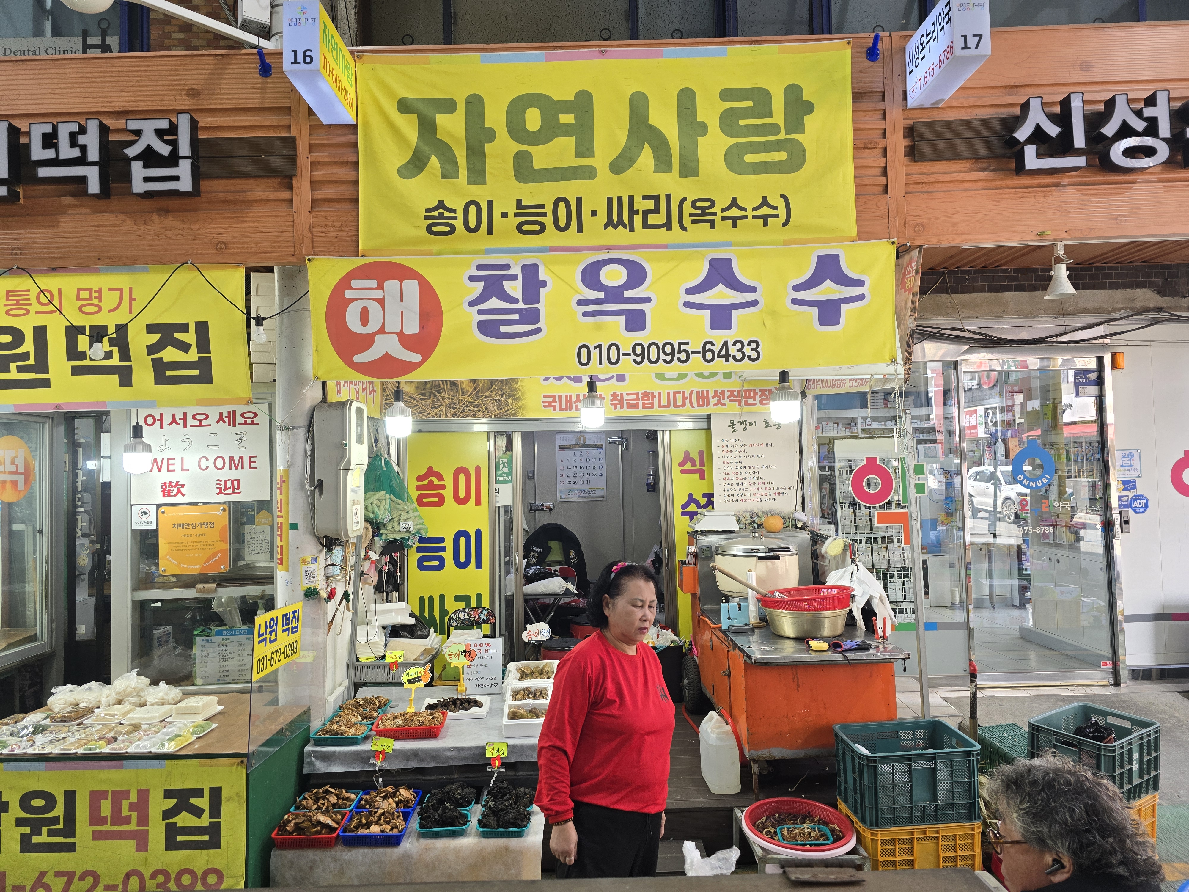 자연사랑