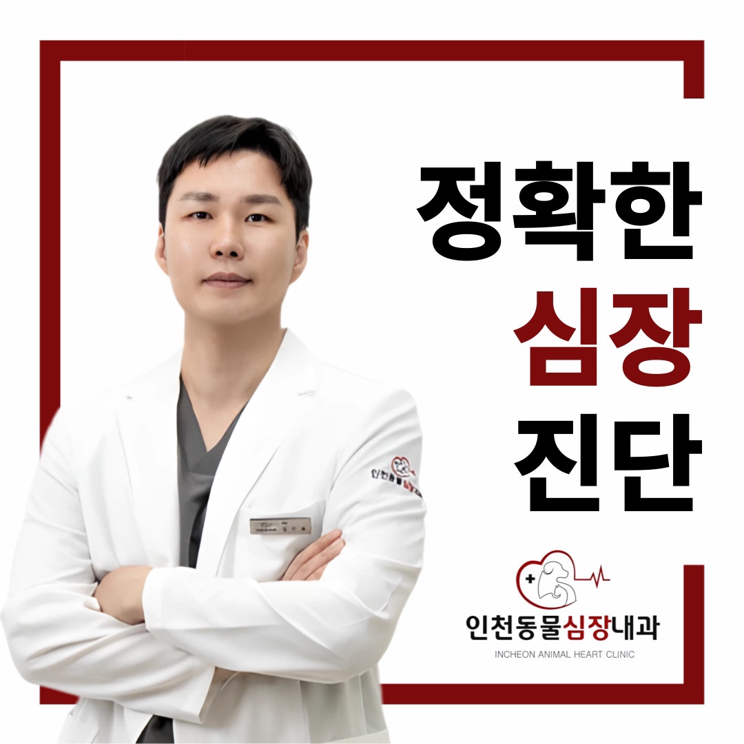 인천동물심장내과 대표 이미지