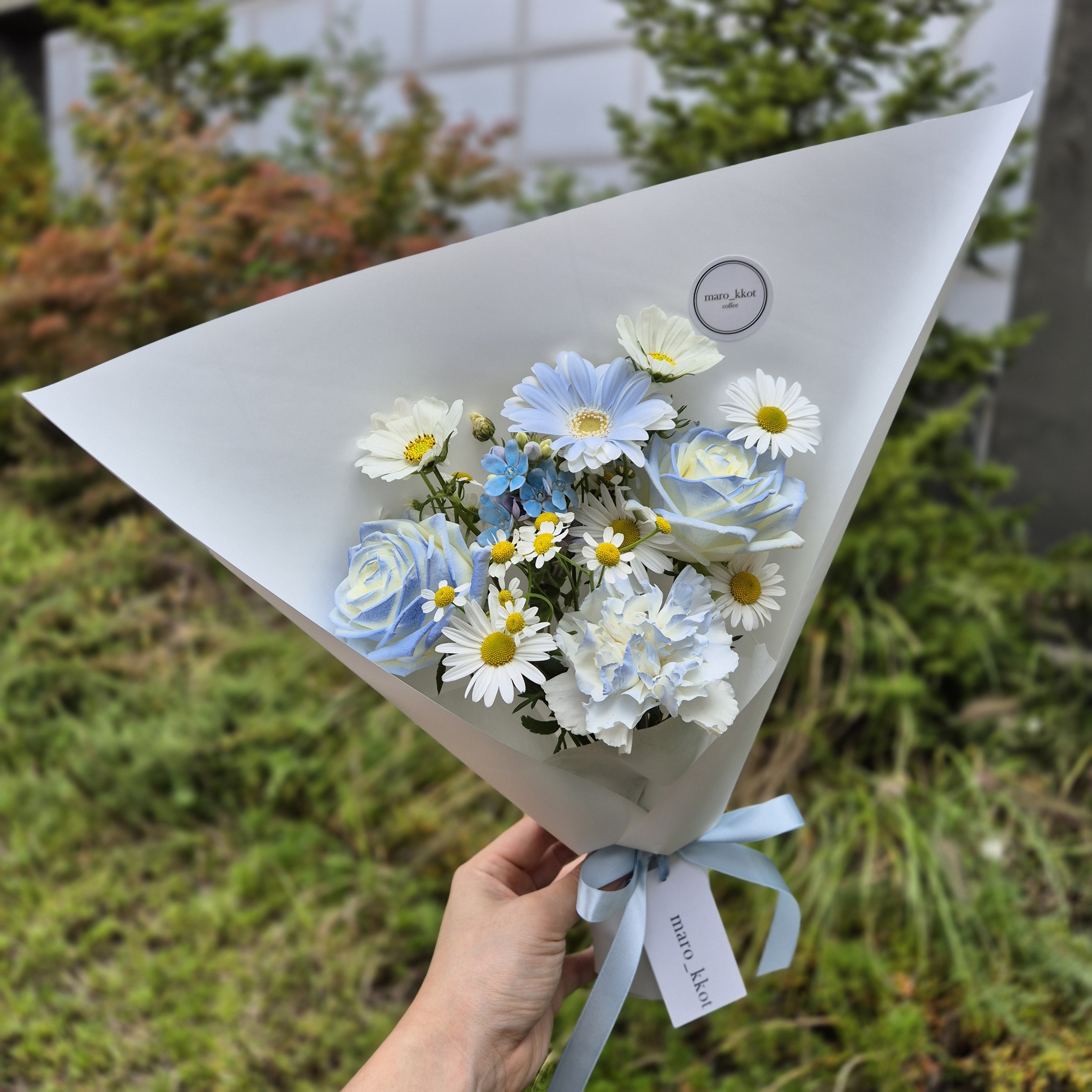 마로꽃