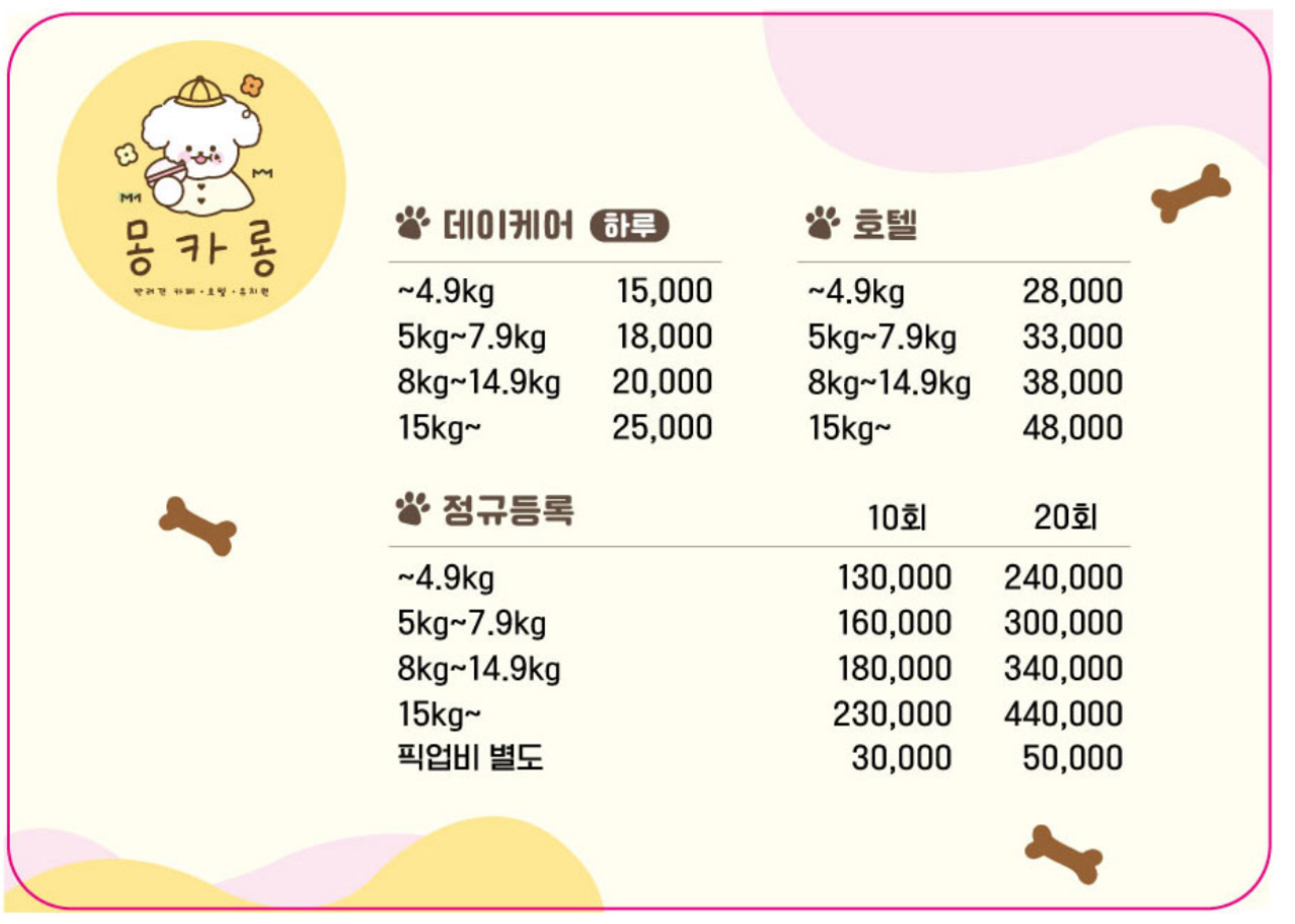 전주애견유치원 몽카롱