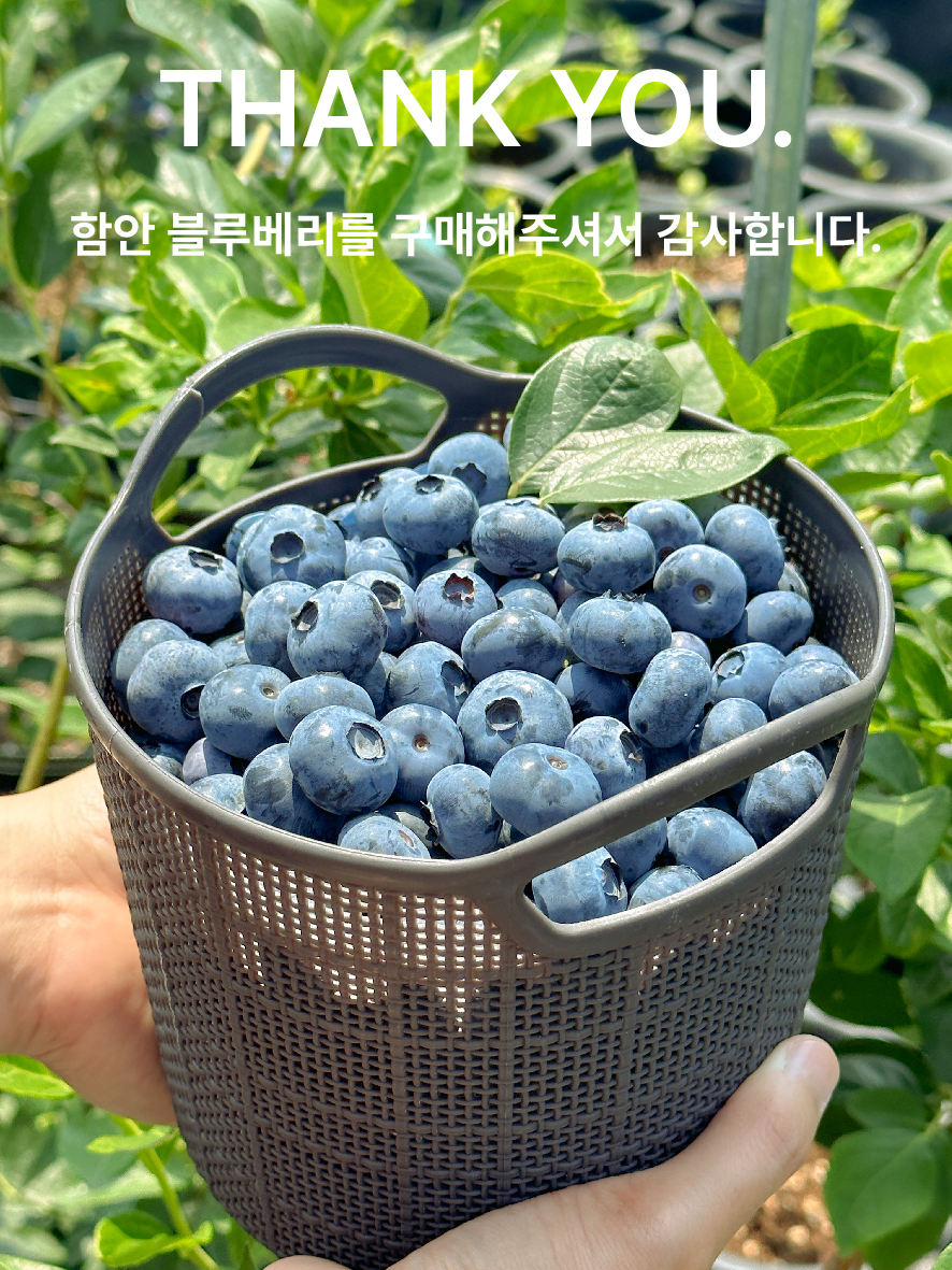 베리니티