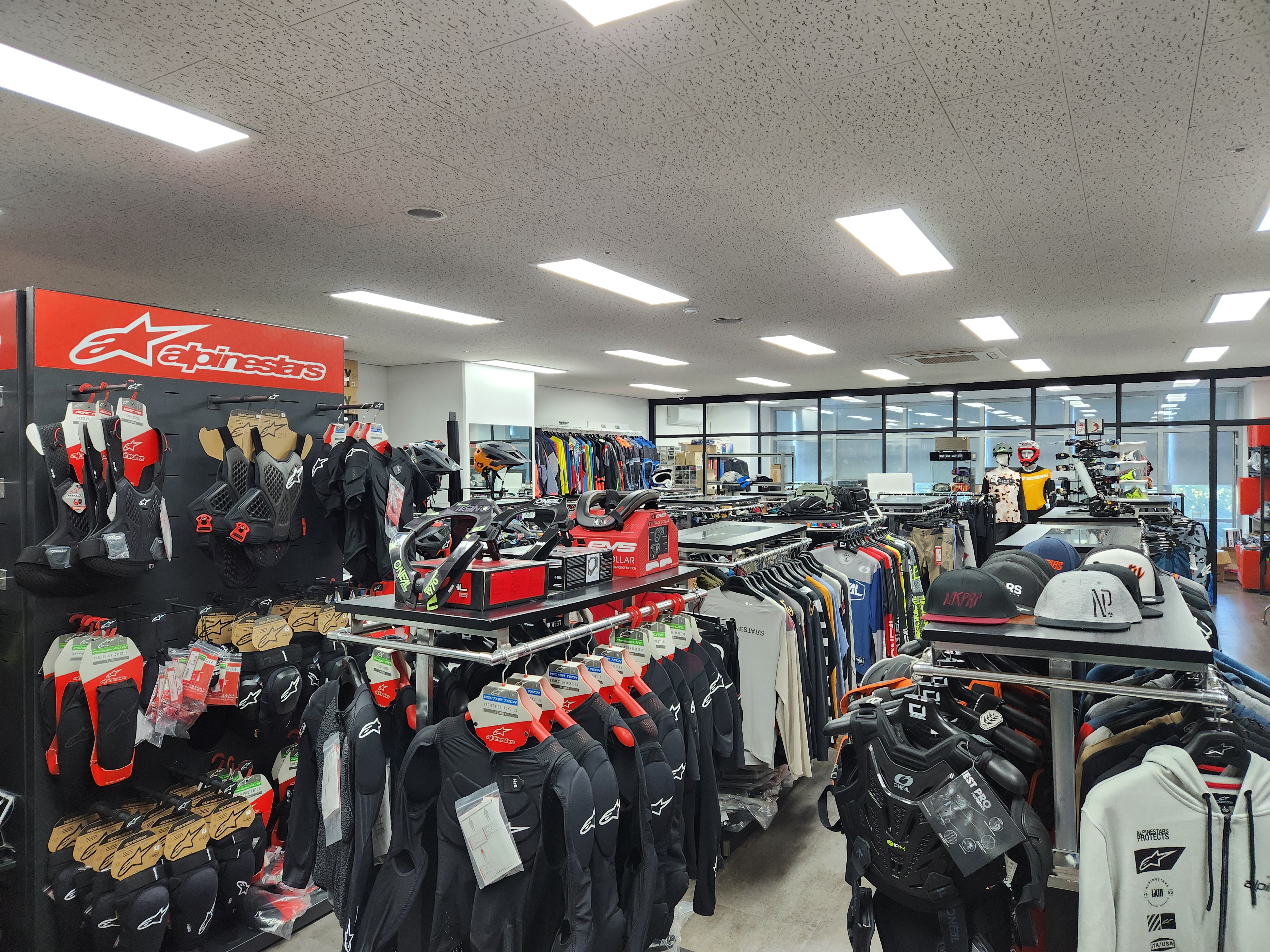 바이스모토 대표 이미지