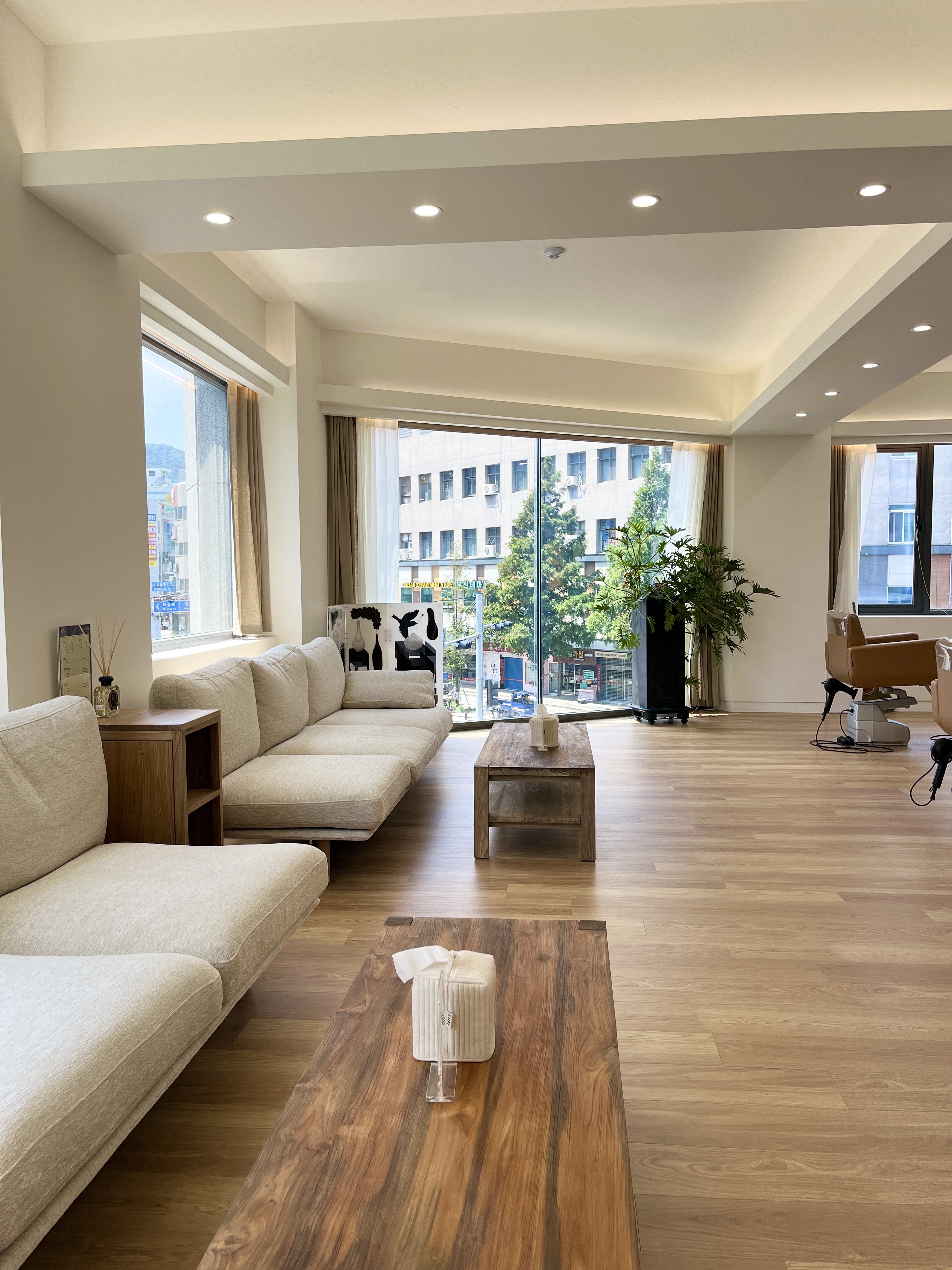 드라포레 남포점