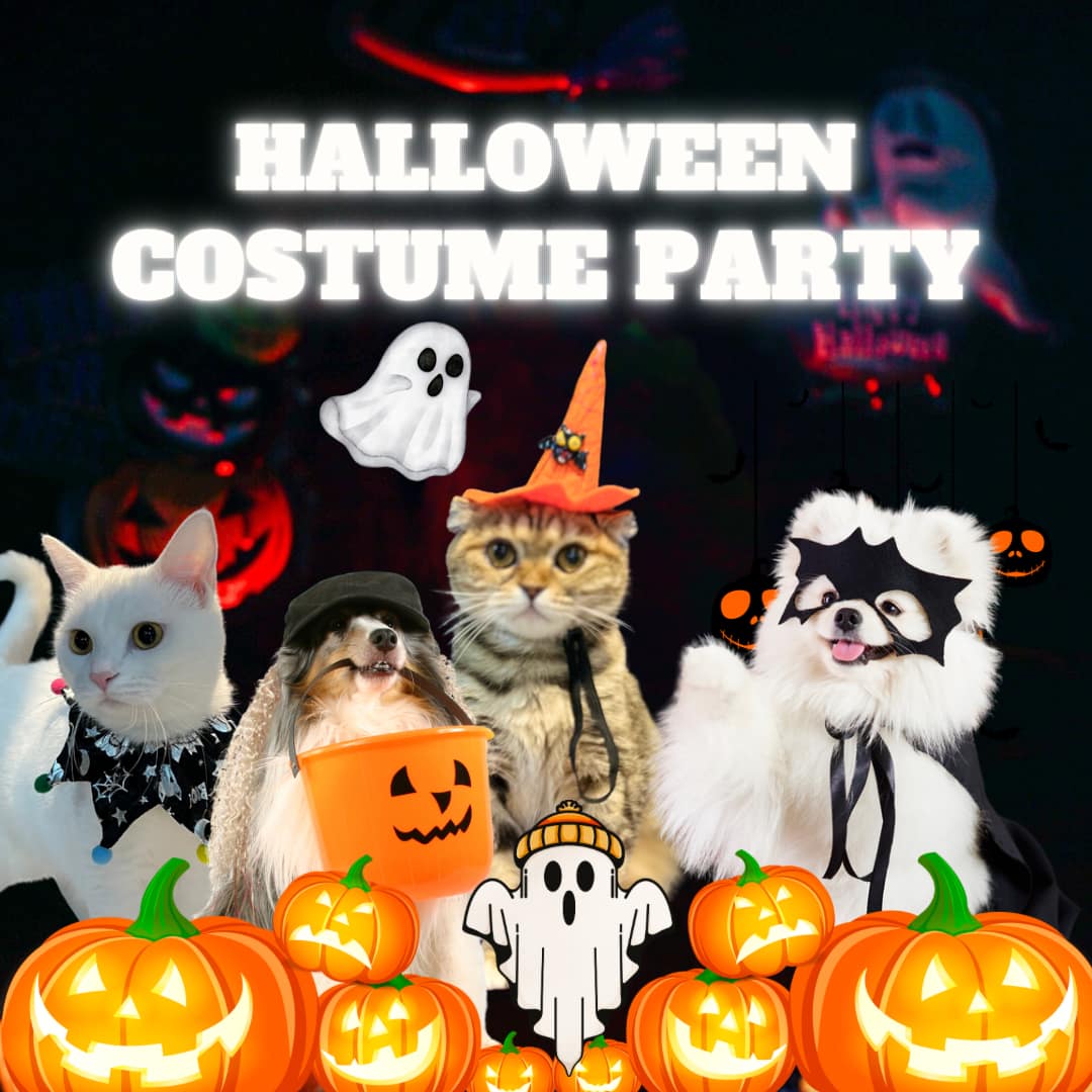 펫 프렌들리 호텔 대표 이미지