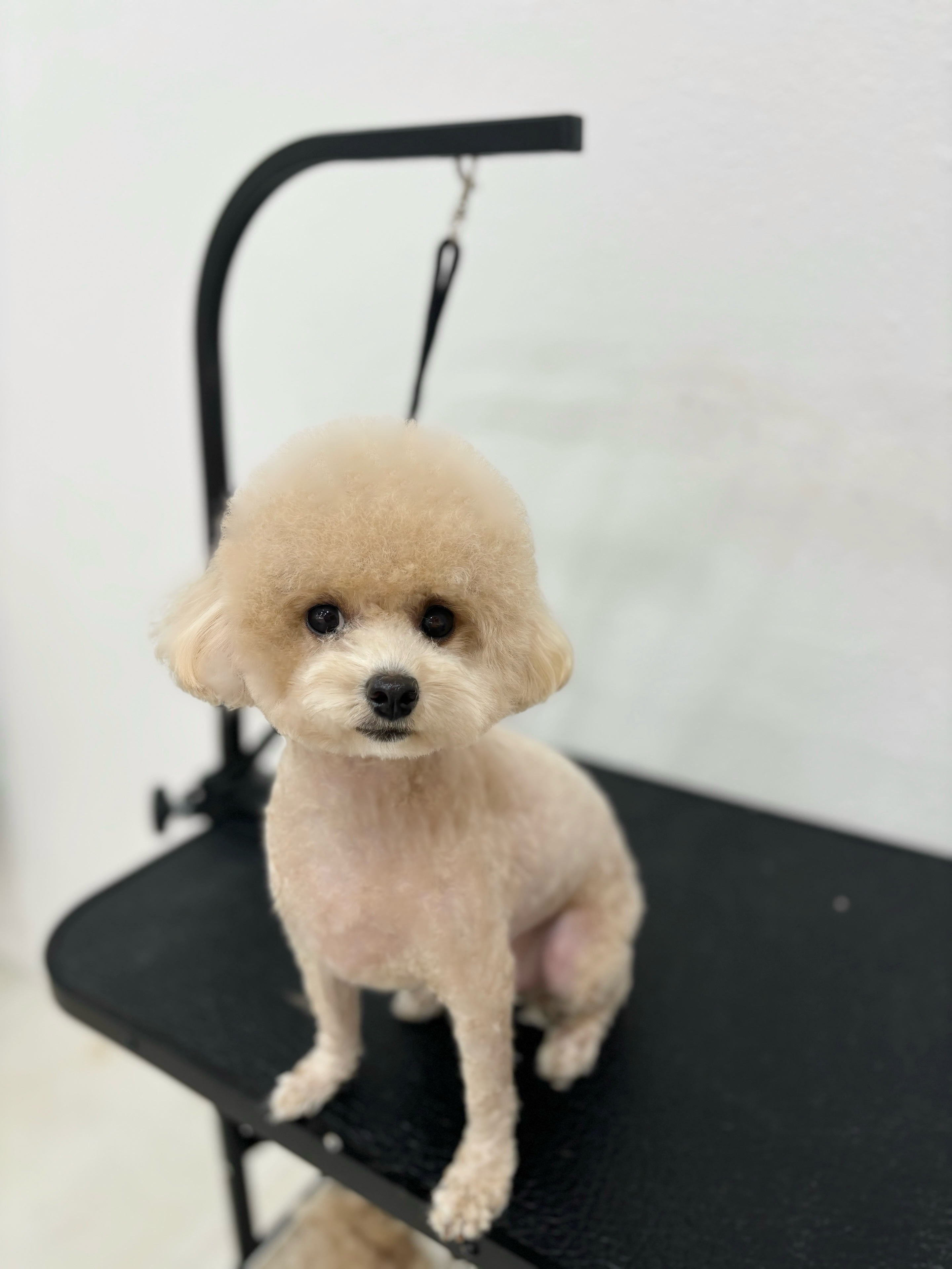 트리밍91 대표 이미지