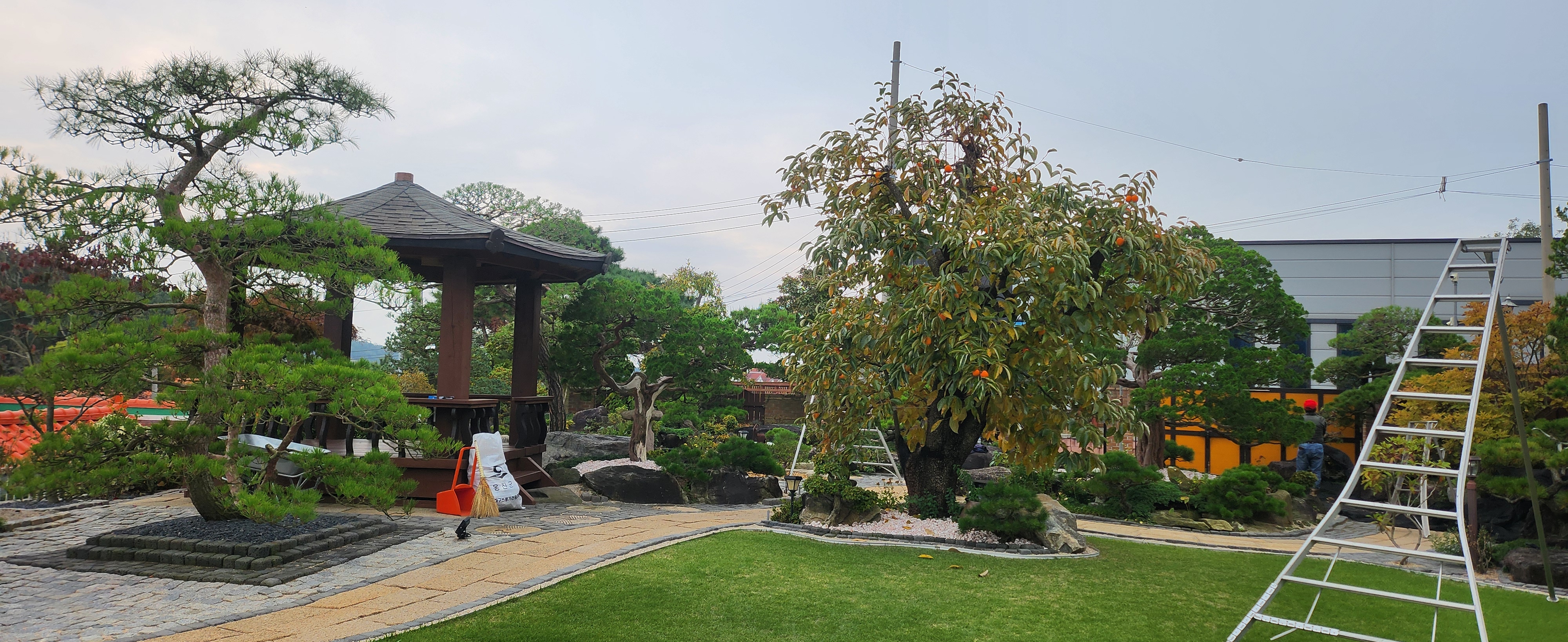 이한조경