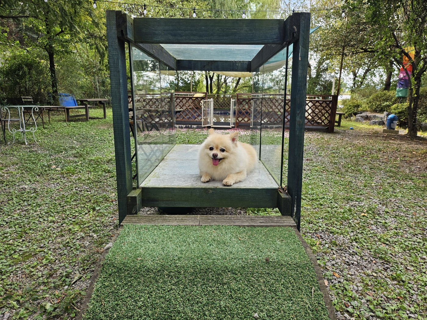 니멍내멍 대표 이미지