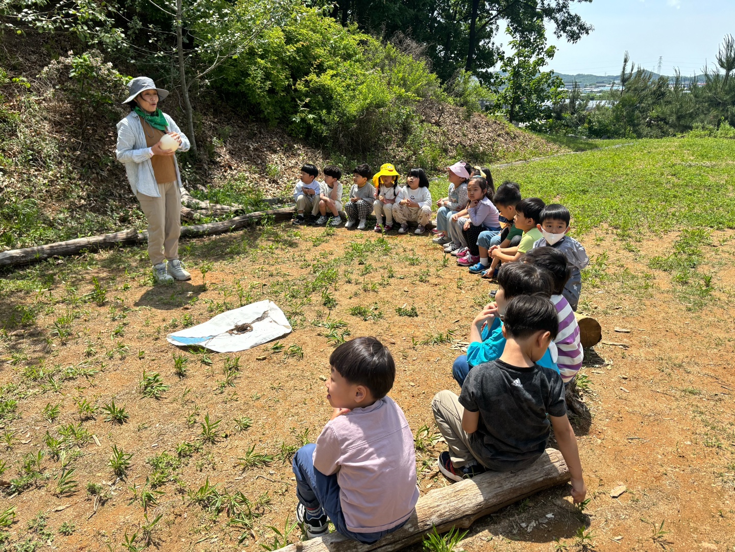 푸른숲유치원
