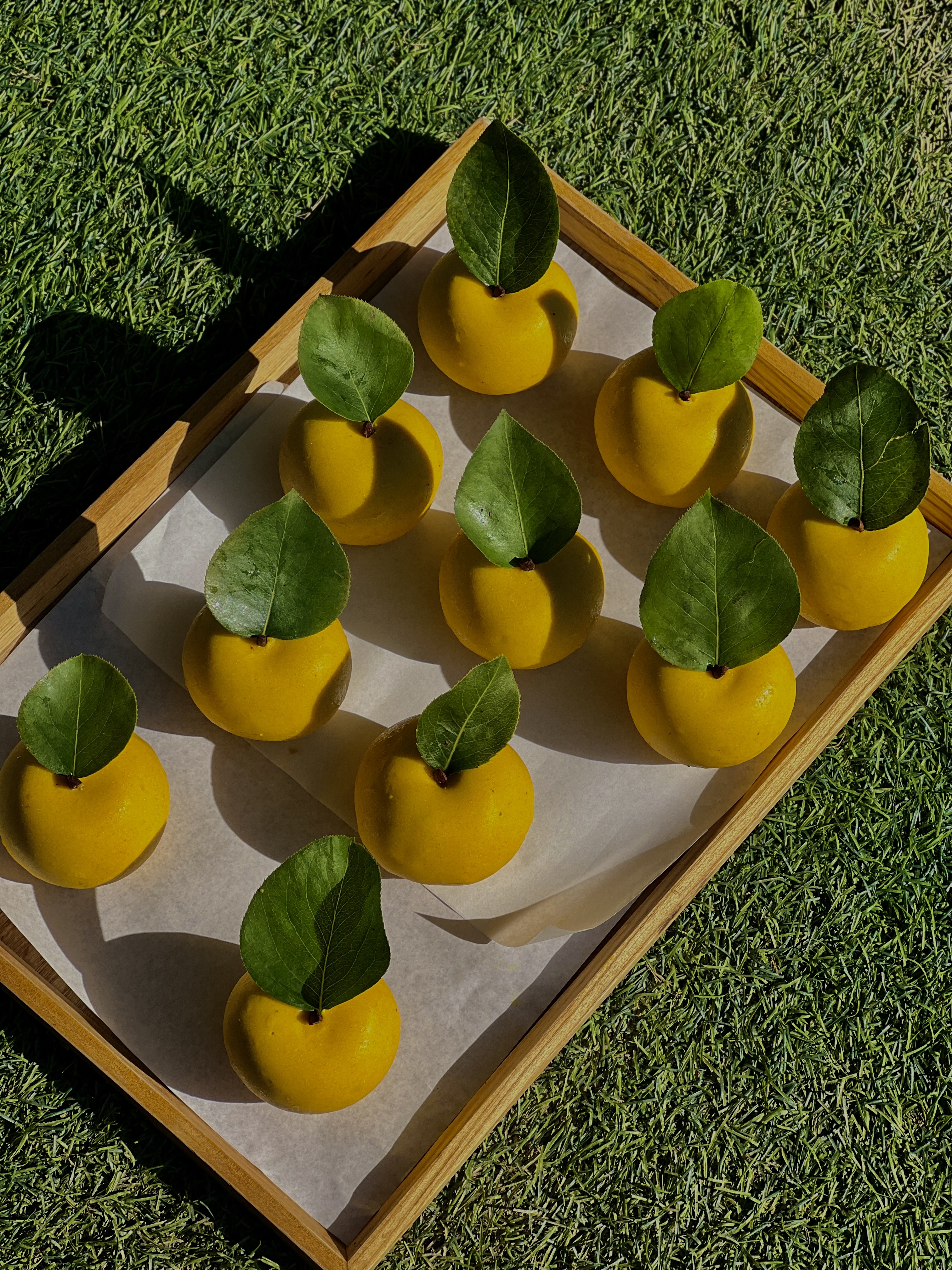 YELLOWMOUNTAIN 대표 이미지