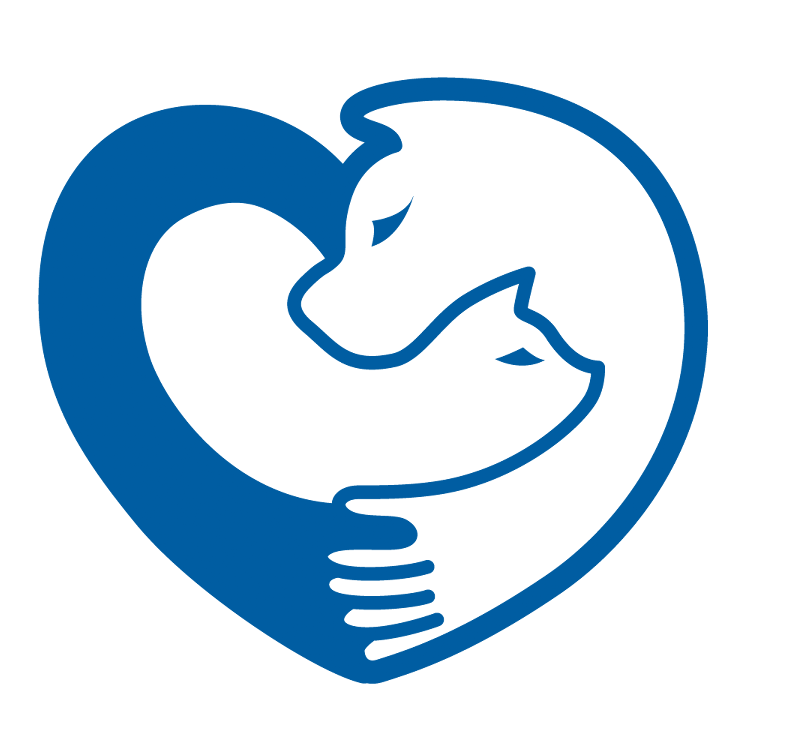 동물보육원 대표 이미지