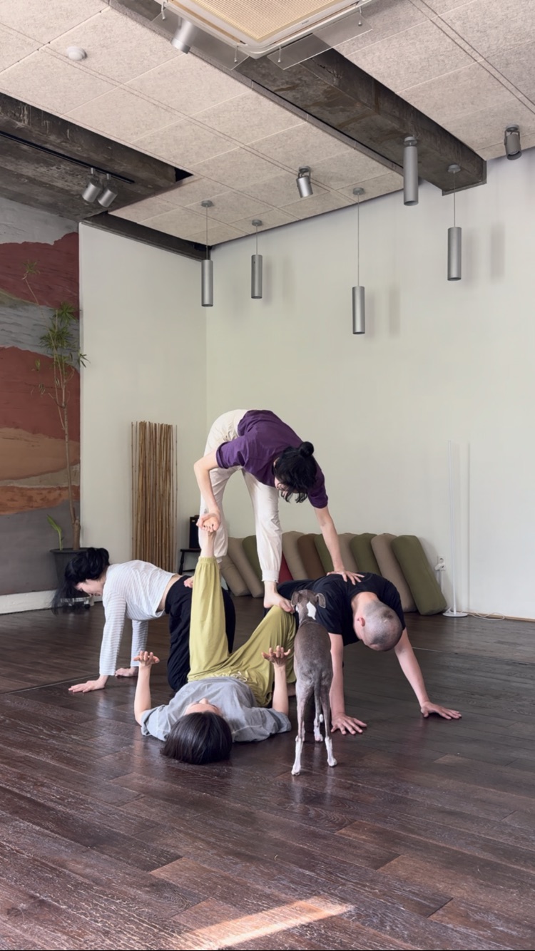 이어가는 움직임 대표 이미지