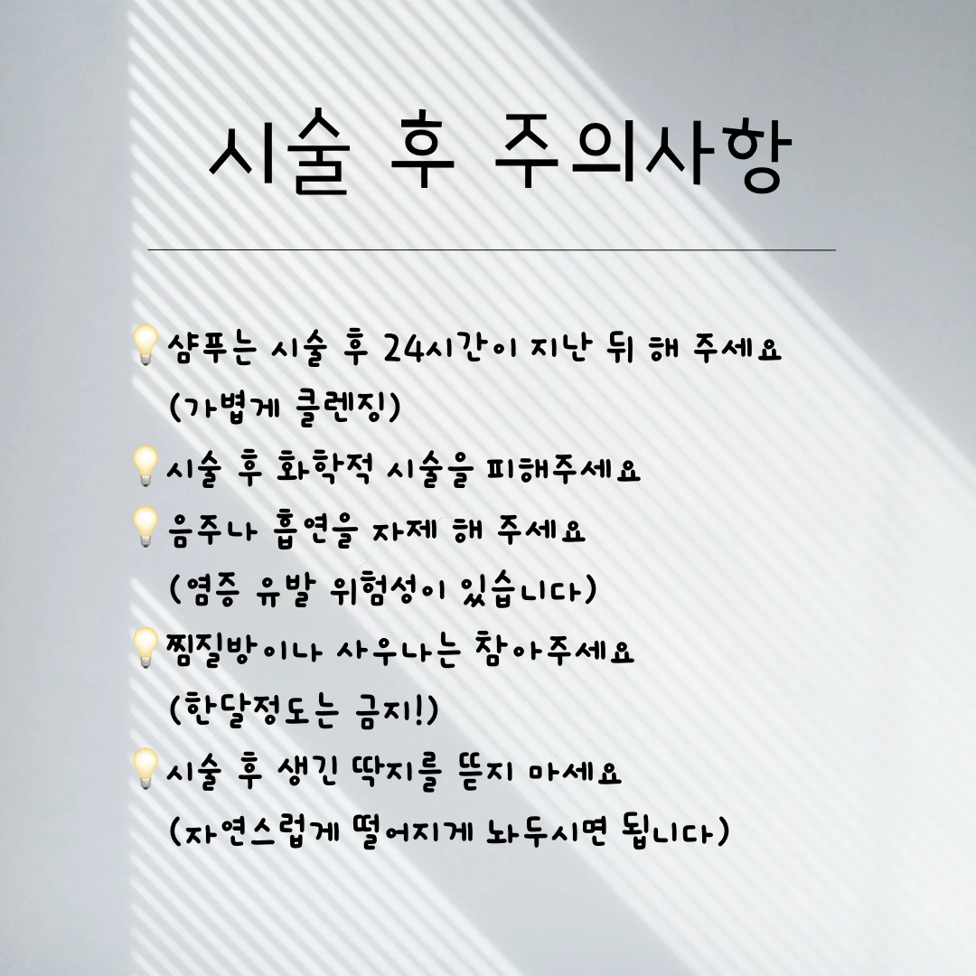 도트비