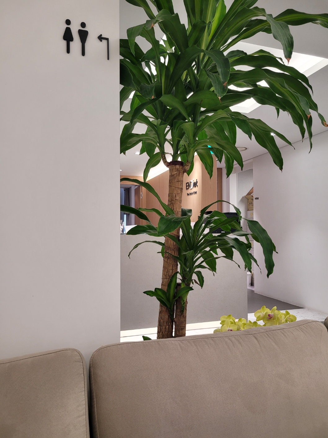 엔디어트의원 대표 이미지