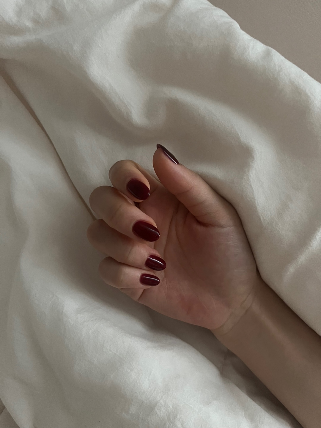 다즐링네일 내부 또는 관련 모습