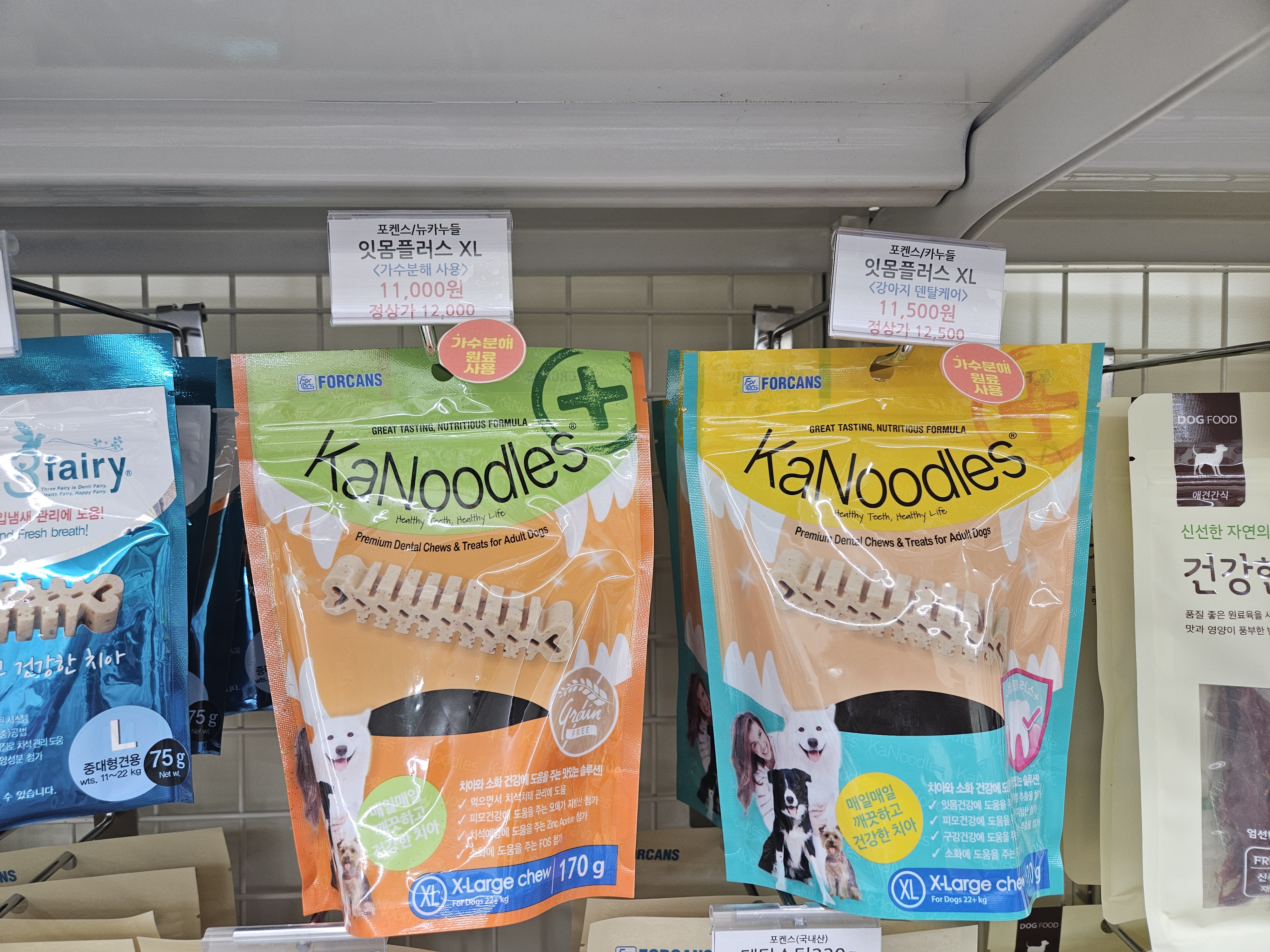 보딩펫츠 대표 이미지