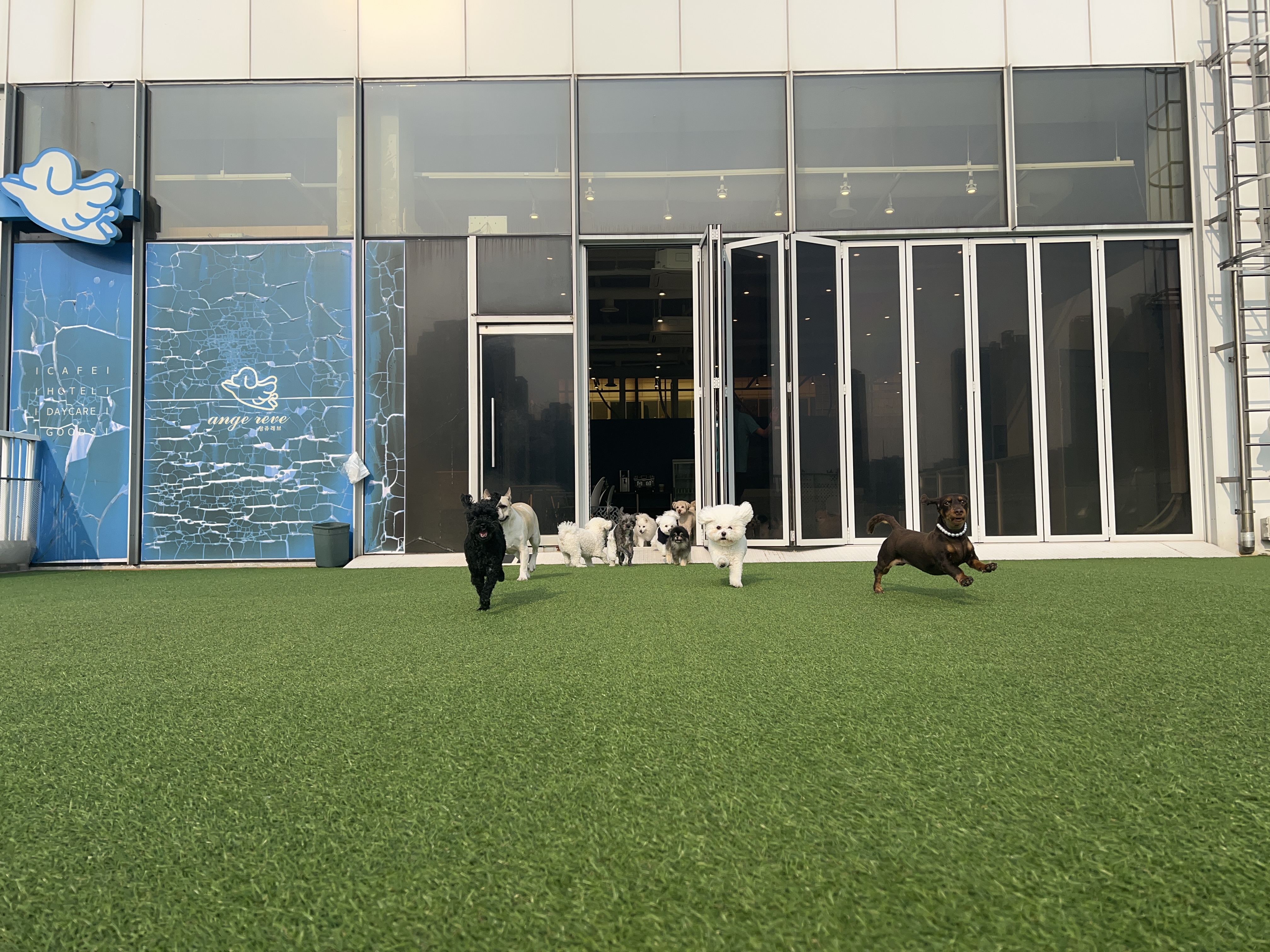 사진 3