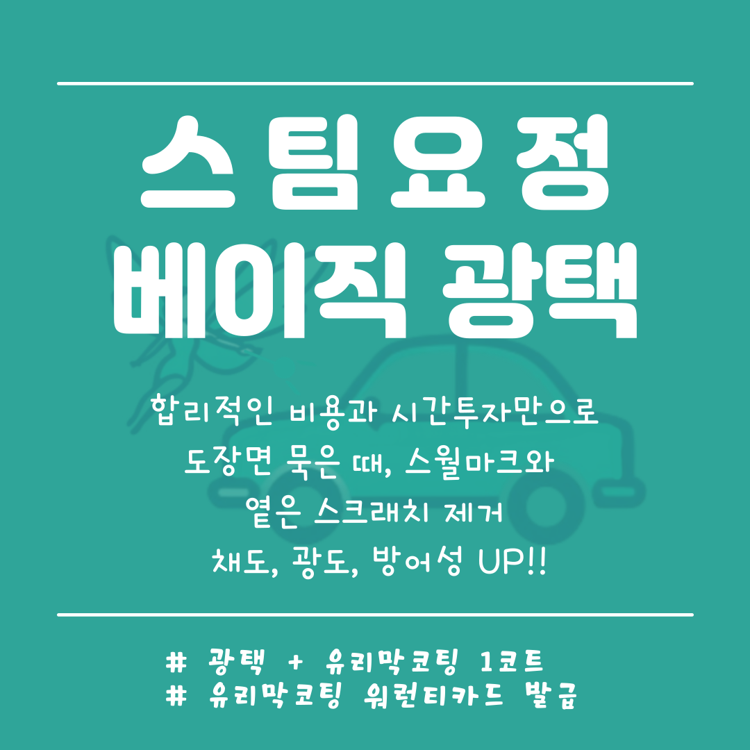 스팀요정 손세차 디테일링 영등포본점