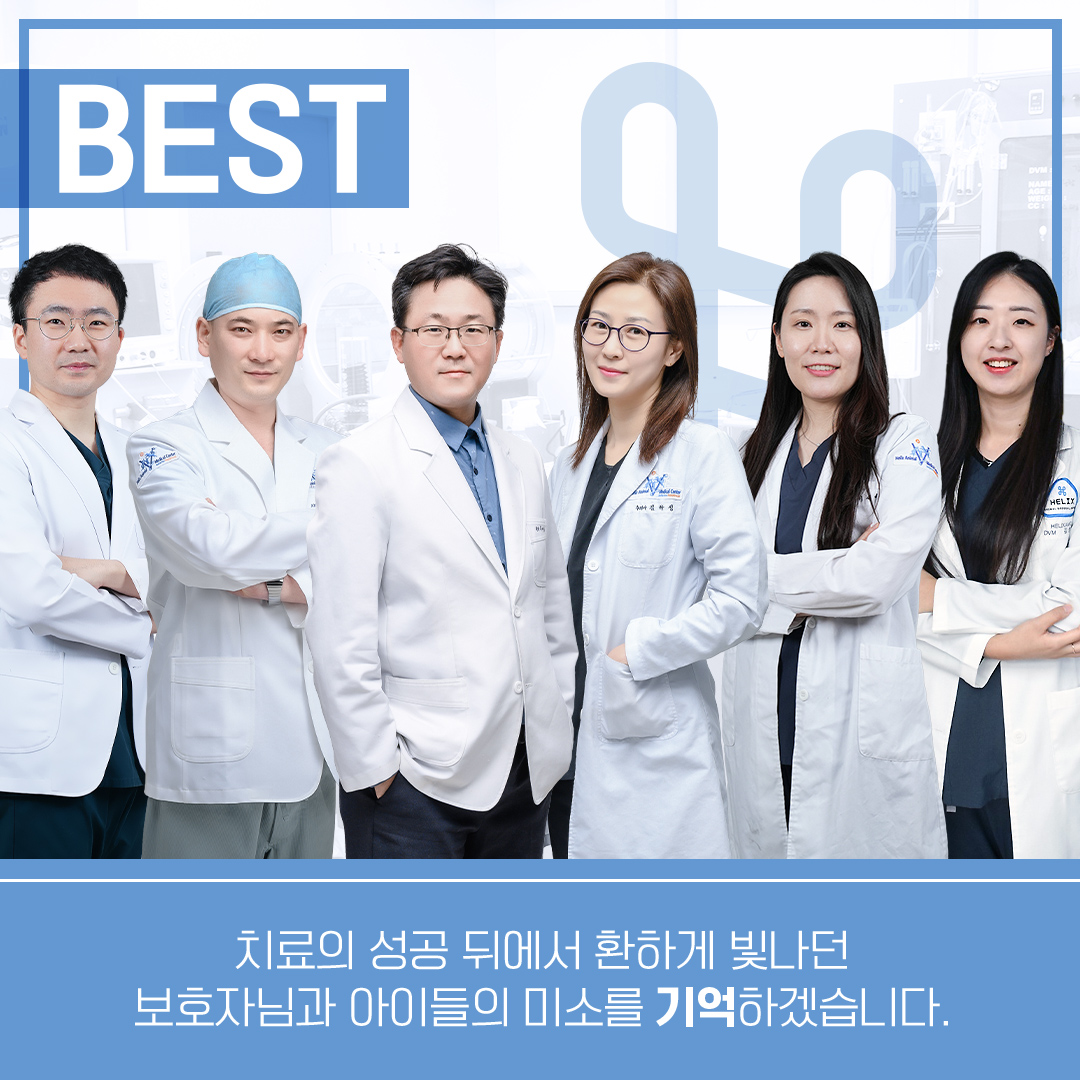 헬릭스동물메디컬센터 일산