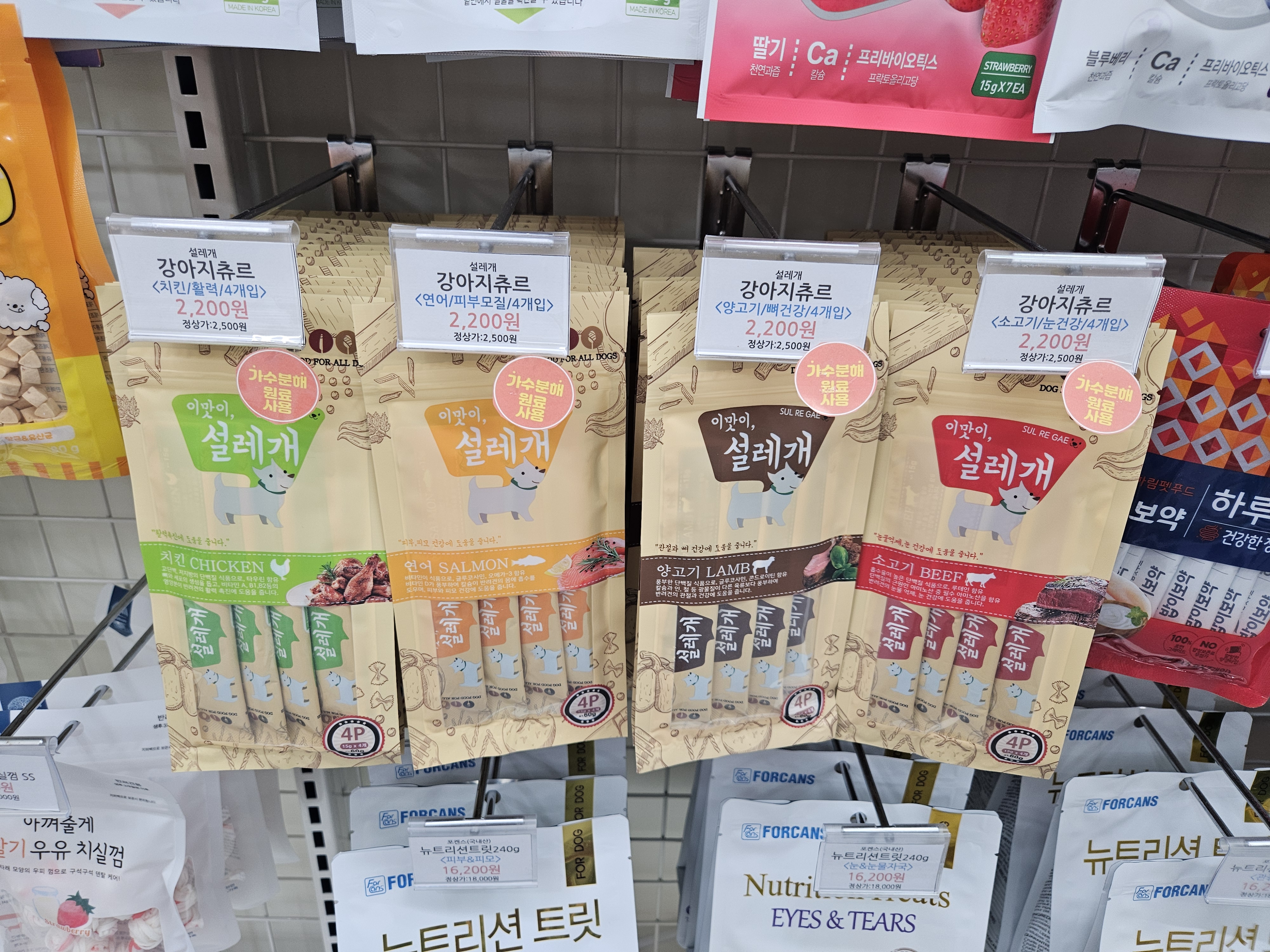 보딩펫츠 양림점 대표 이미지