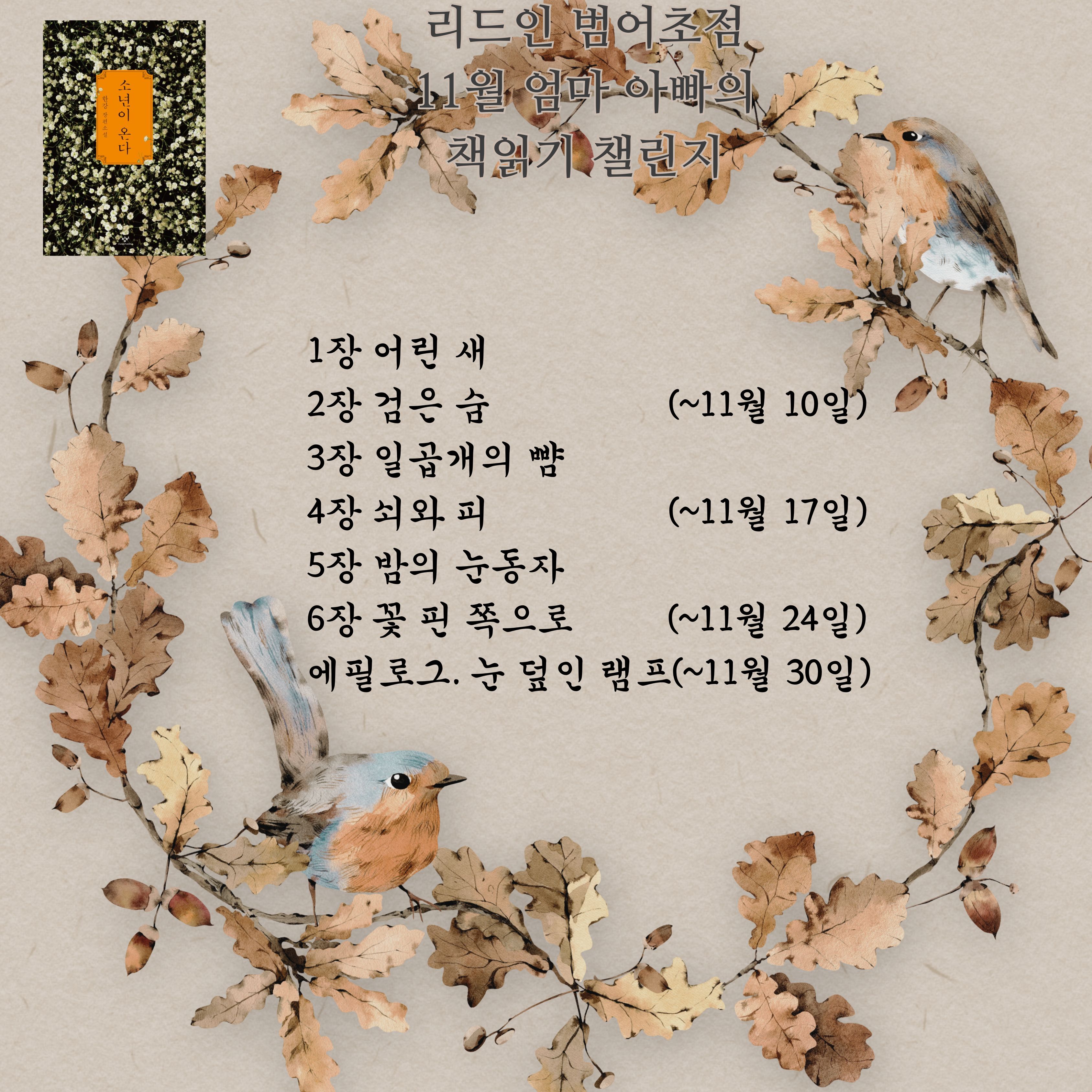 리드인 범어초점 독서논술국어학원