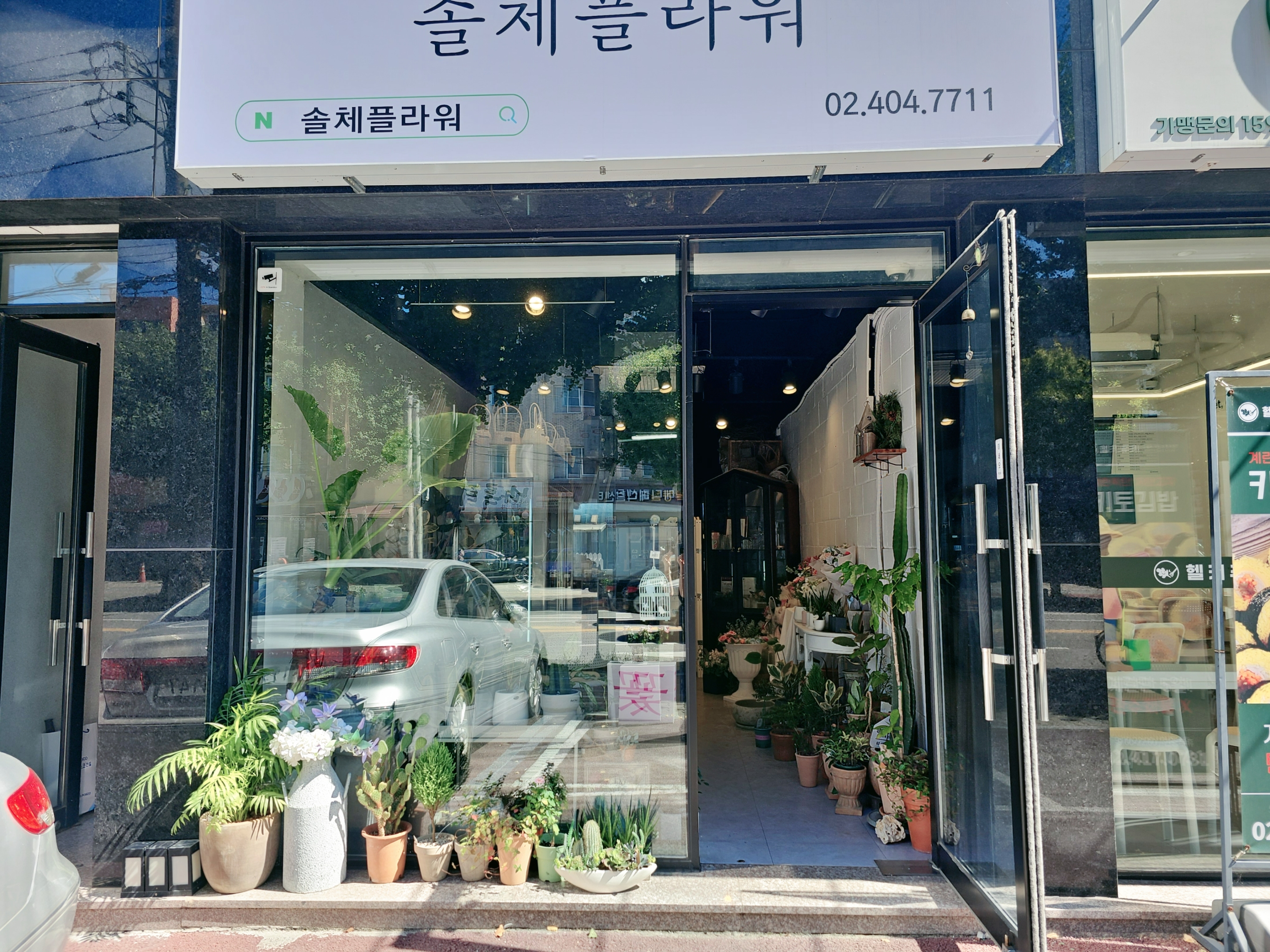 솔체플라워