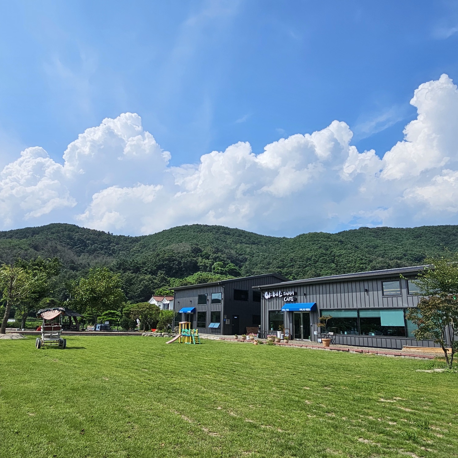 야베스 팜 카페 설명사진