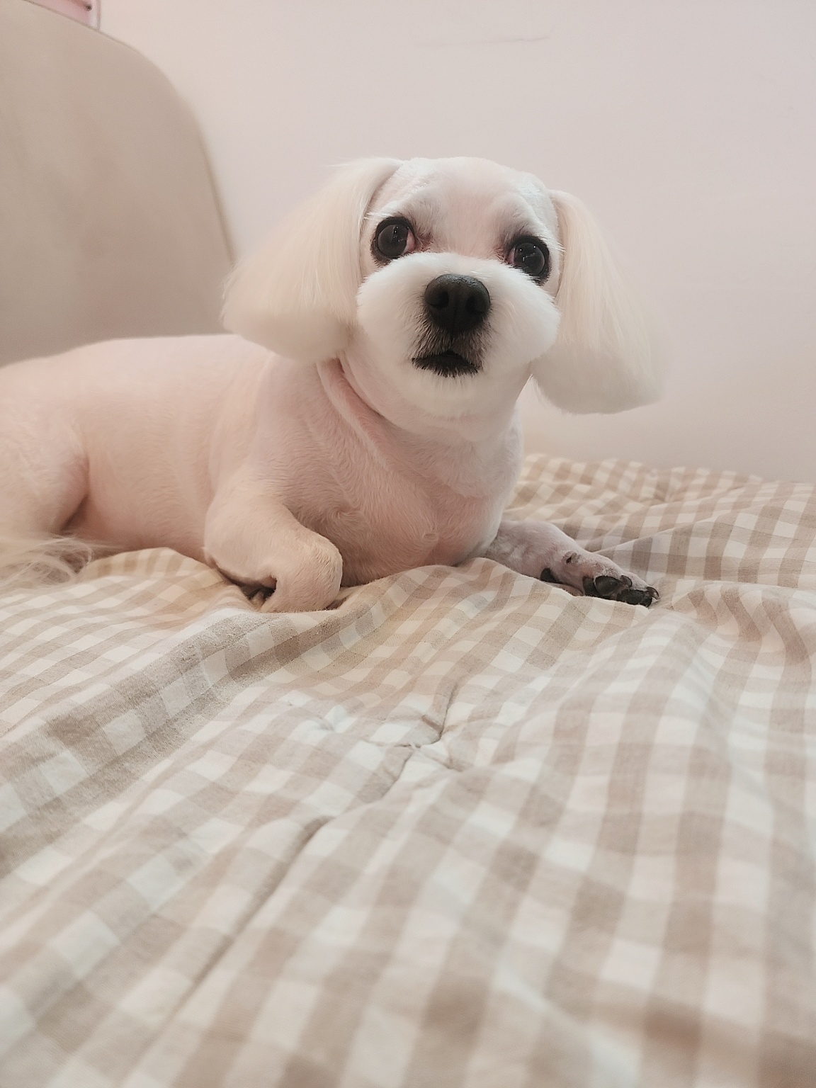 너애개만 대표 이미지
