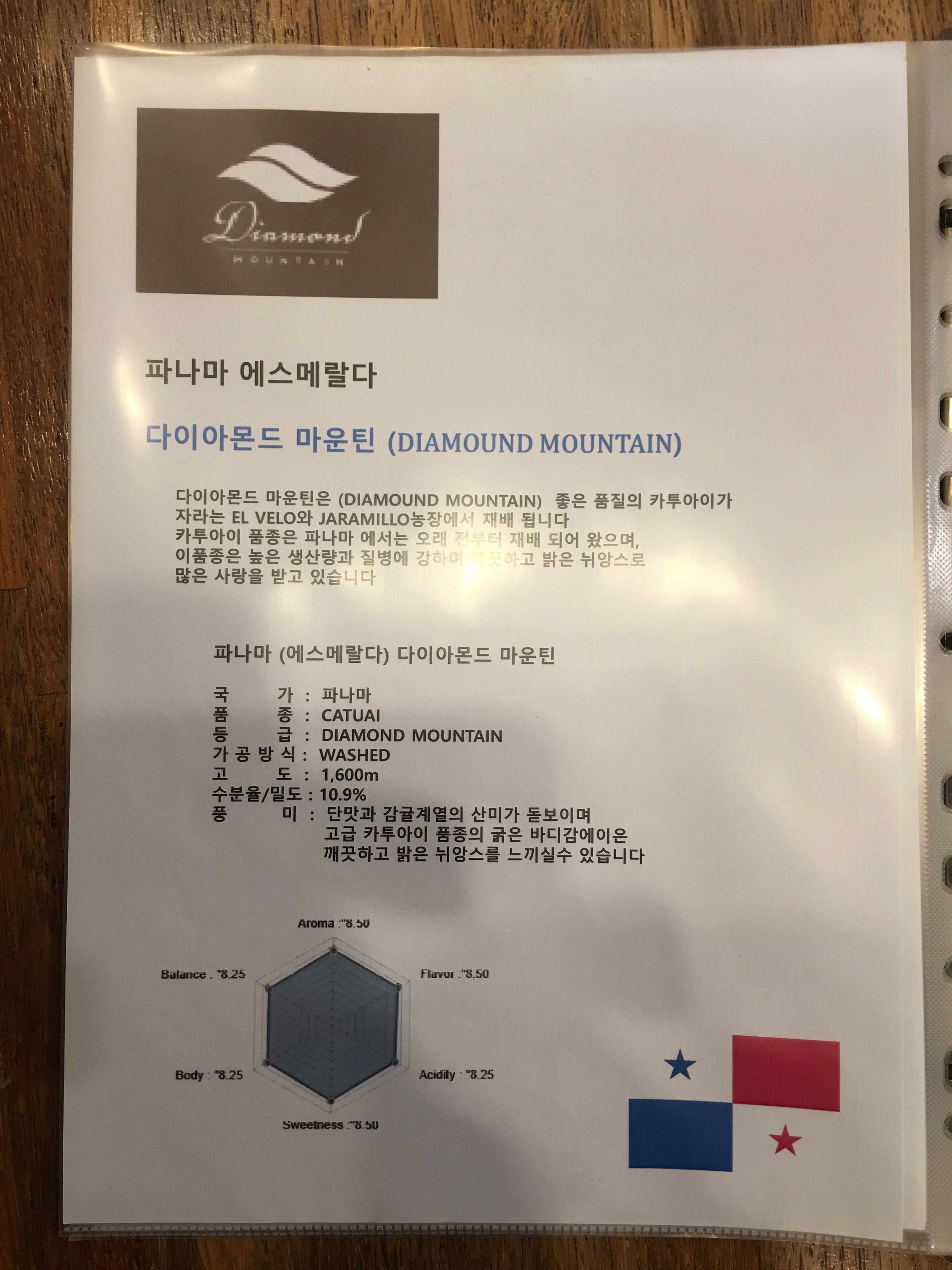 커피마운틴